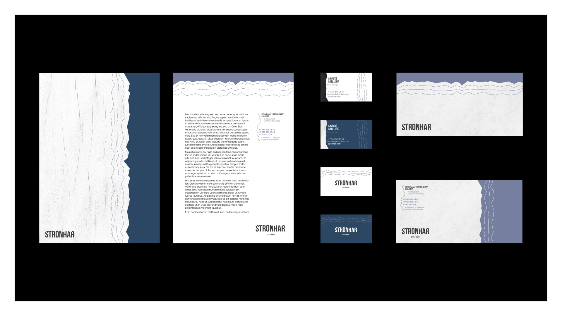 Айдентика «Стронхар» — Изображение №1 — Брендинг, Графика на Dprofile