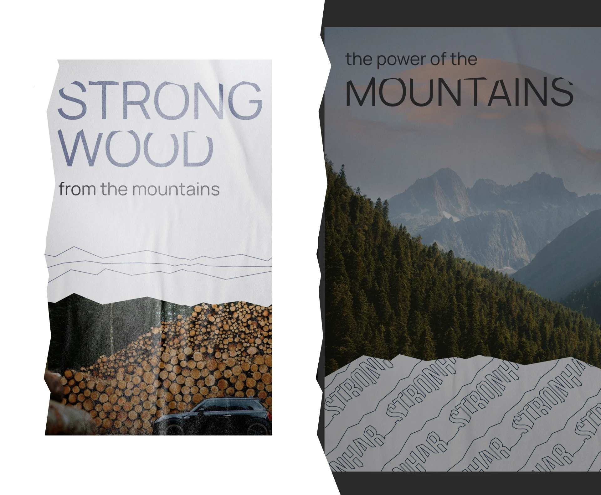 Айдентика «Стронхар» — Изображение №11 — Брендинг, Графика на Dprofile