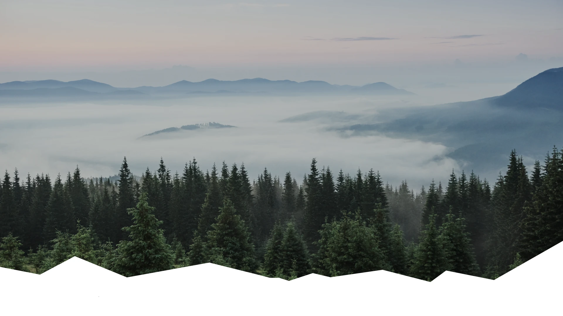 Айдентика «Стронхар» — Изображение №18 — Брендинг, Графика на Dprofile