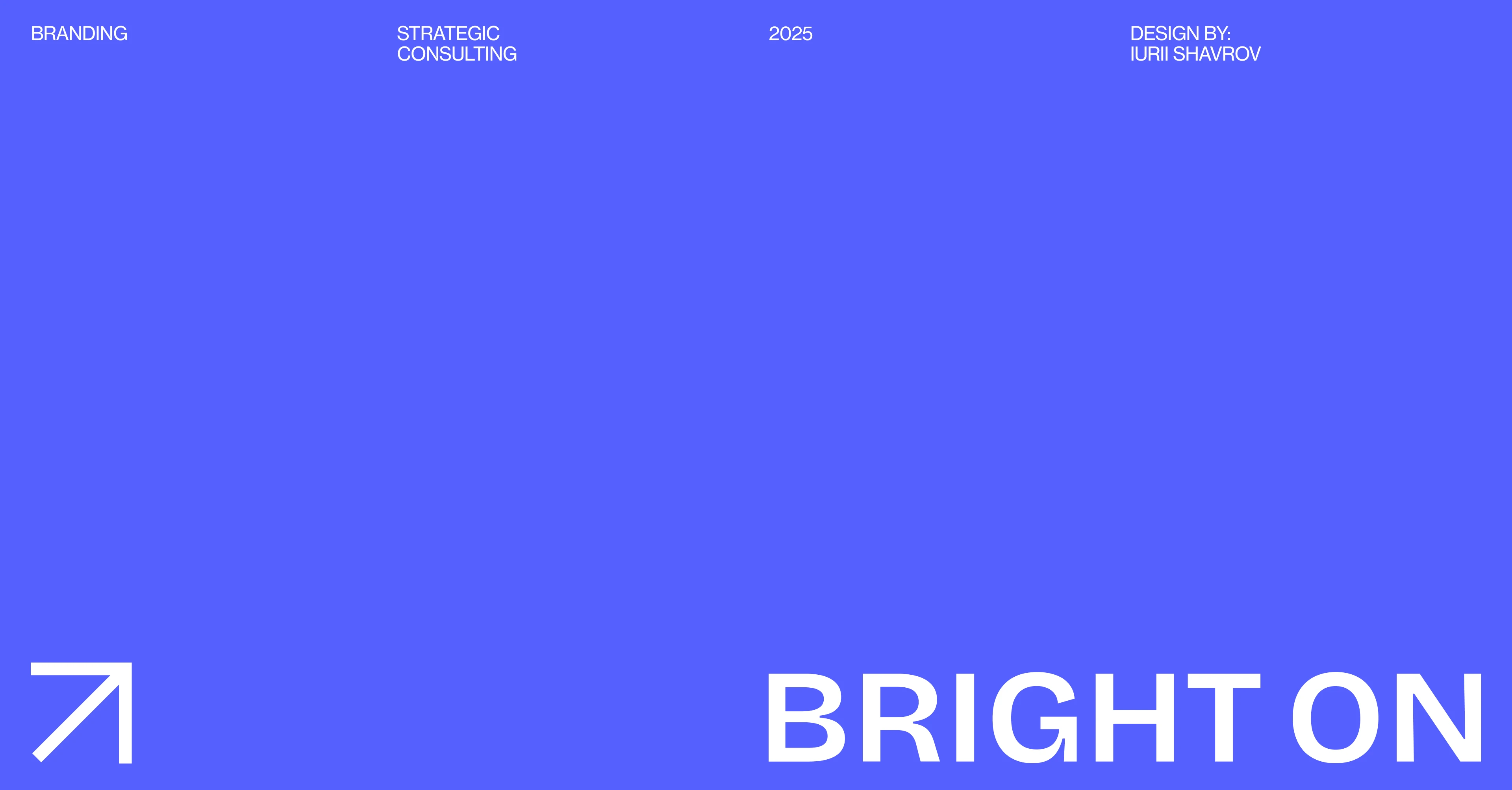 Консалтинговое агентство Bright on — Изображение №1 — Интерфейсы, Брендинг на Dprofile