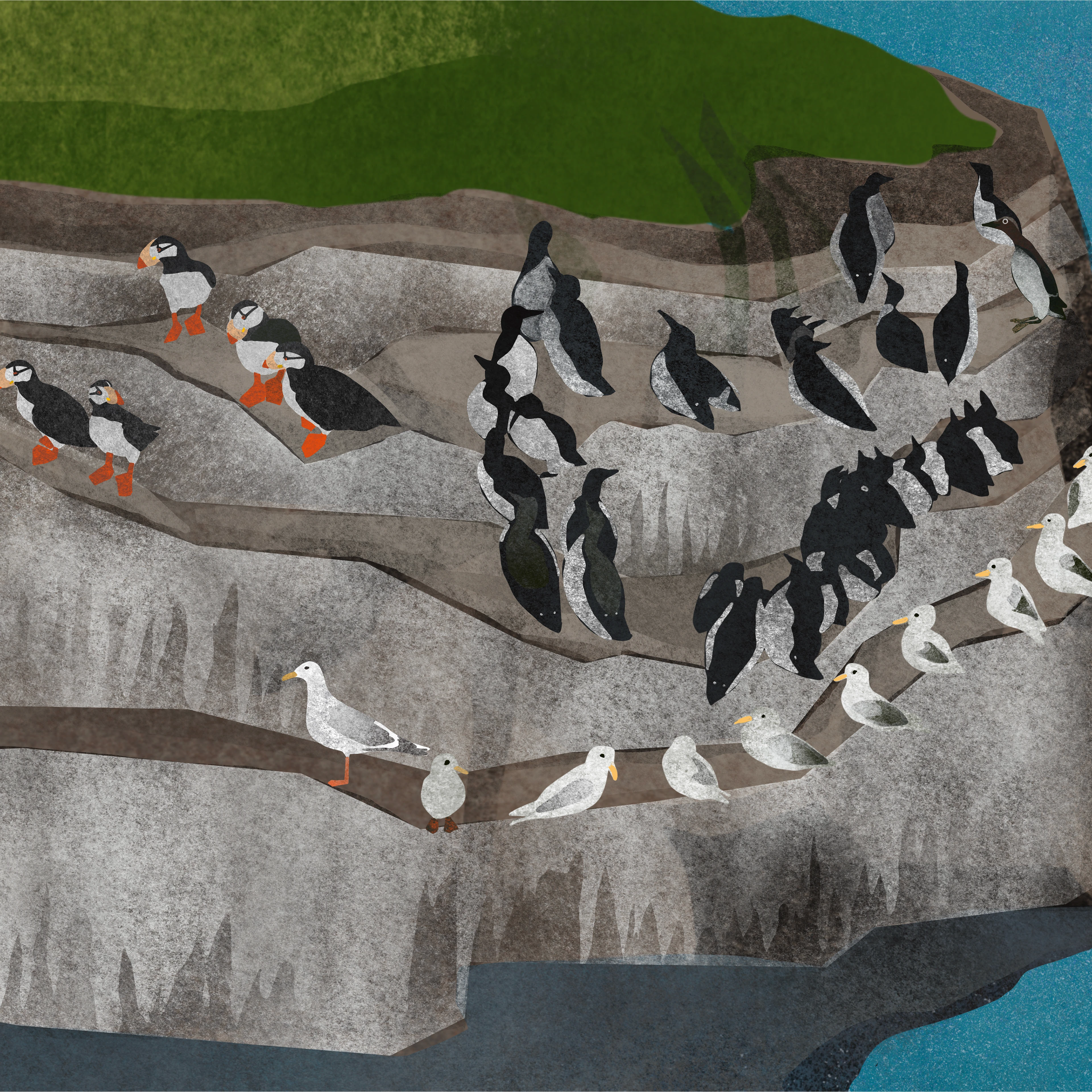 Дикая Камчатка — Изображение №11 — Брендинг, Иллюстрация на Dprofile