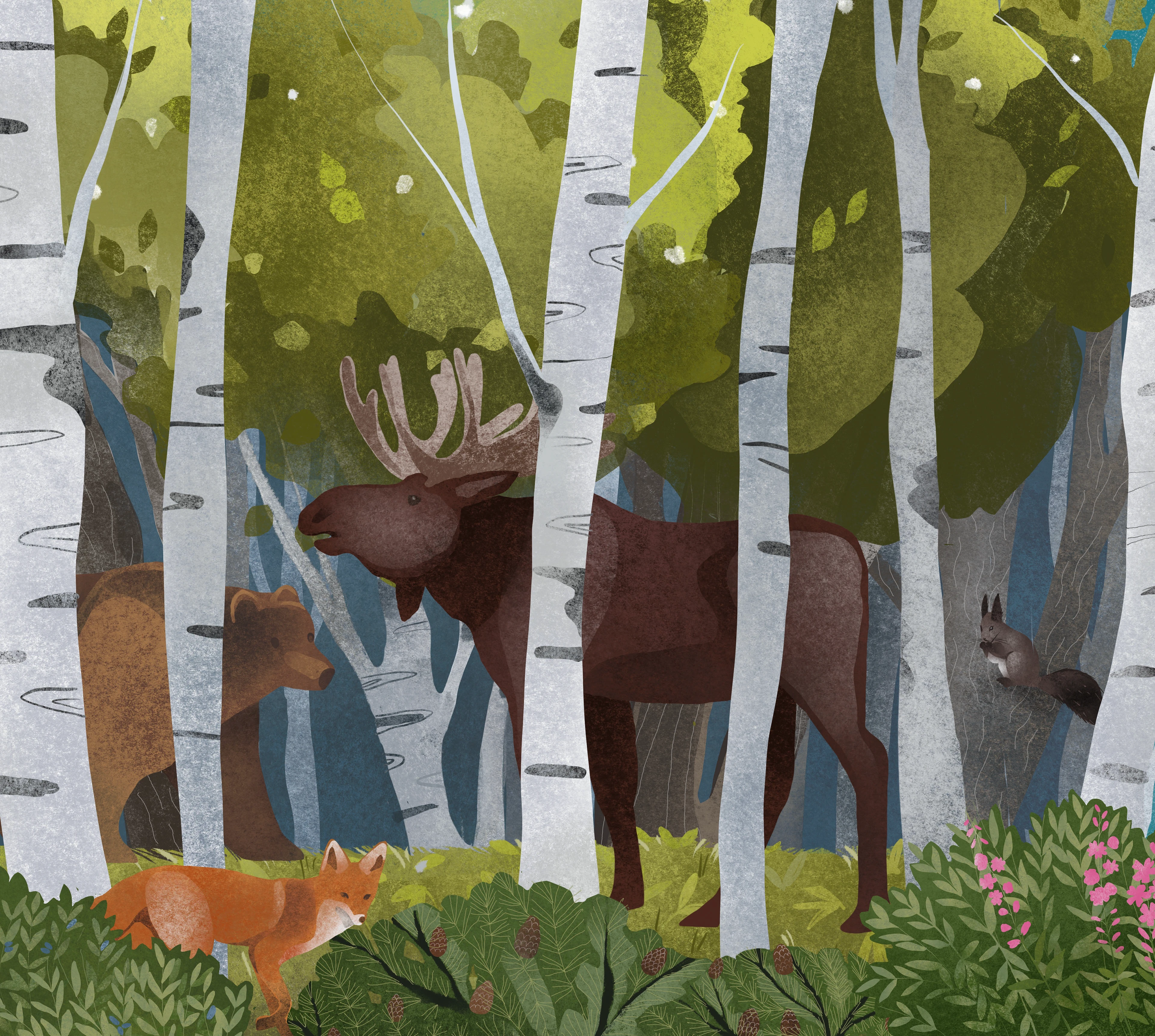 Дикая Камчатка — Изображение №3 — Брендинг, Иллюстрация на Dprofile