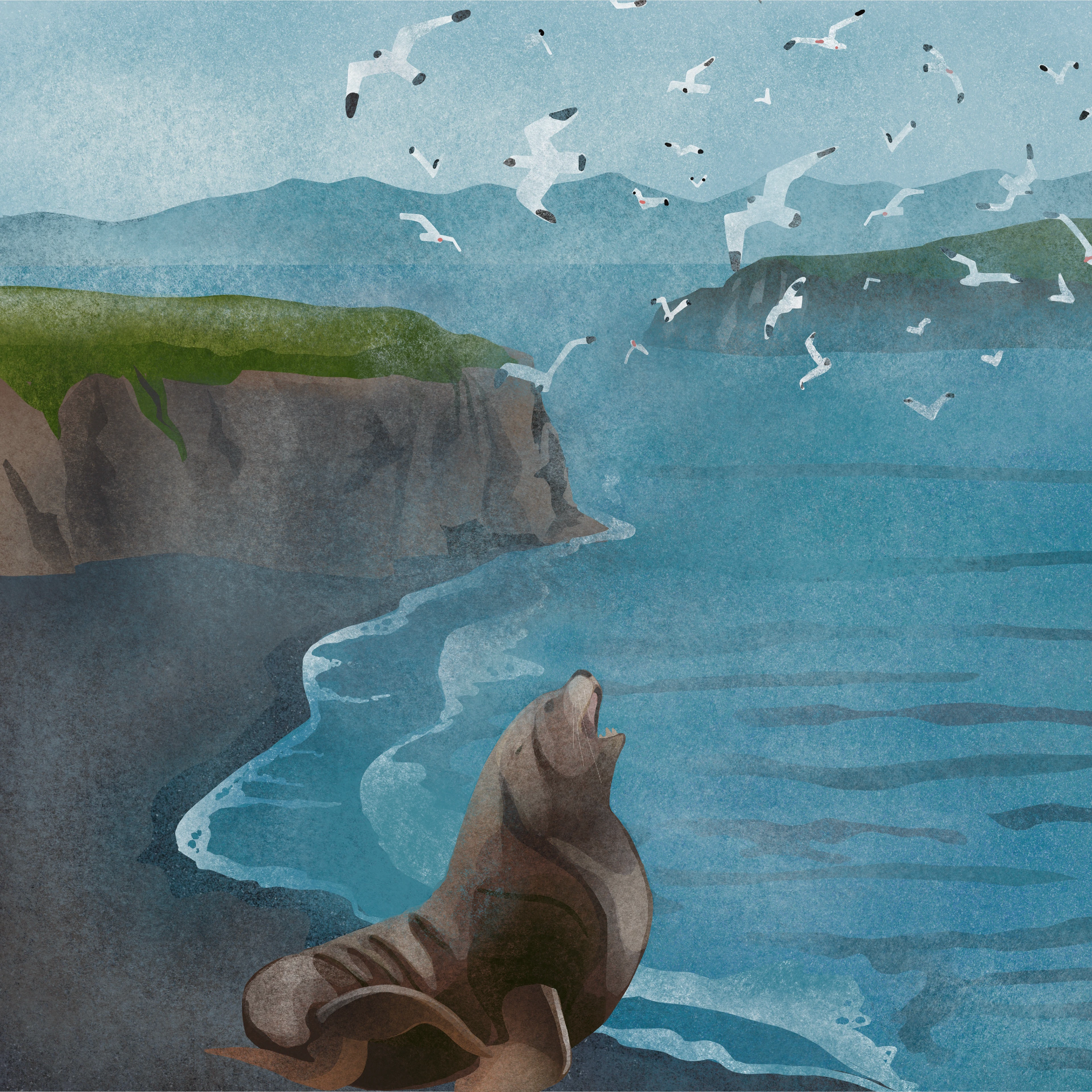 Дикая Камчатка — Изображение №10 — Брендинг, Иллюстрация на Dprofile