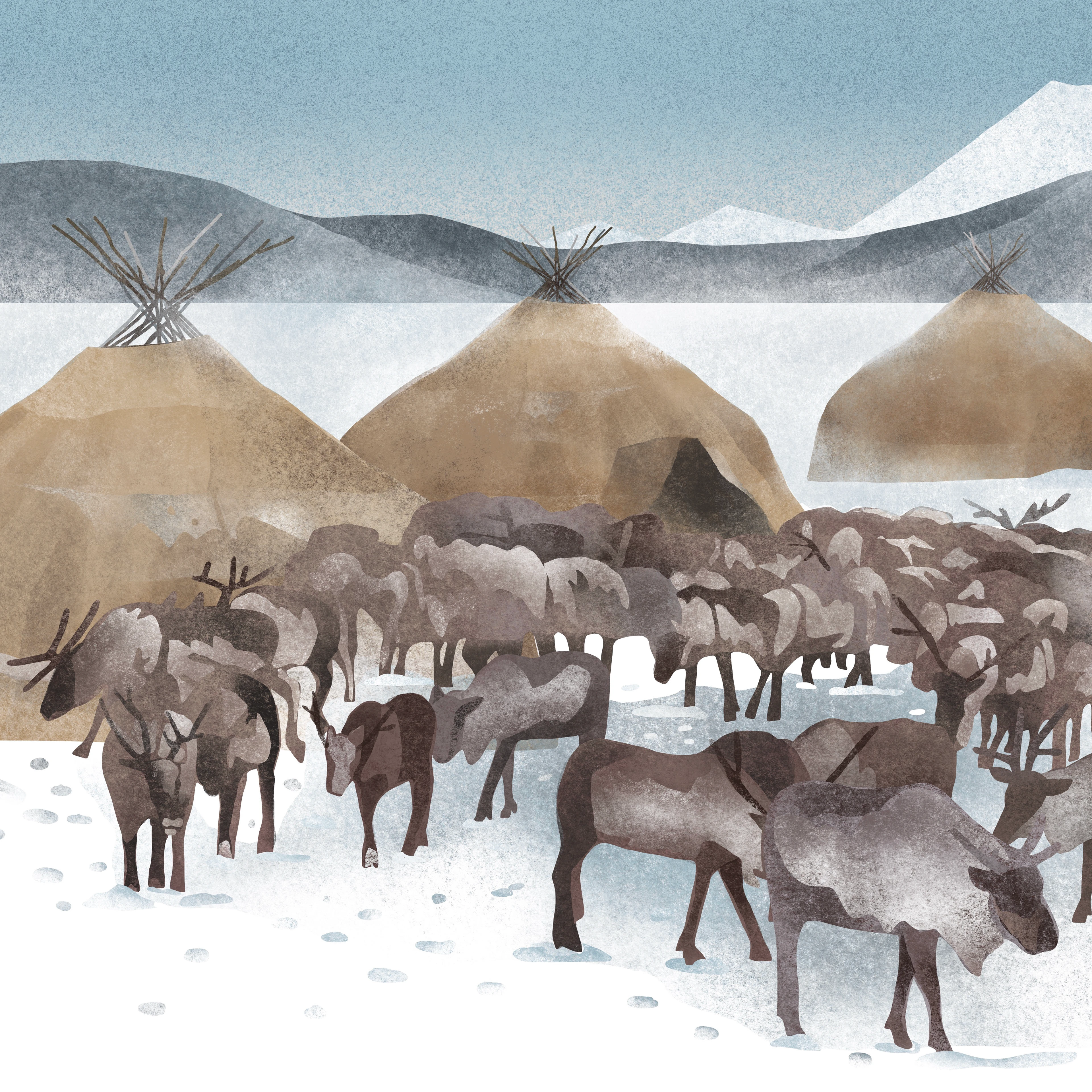 Дикая Камчатка — Изображение №5 — Брендинг, Иллюстрация на Dprofile