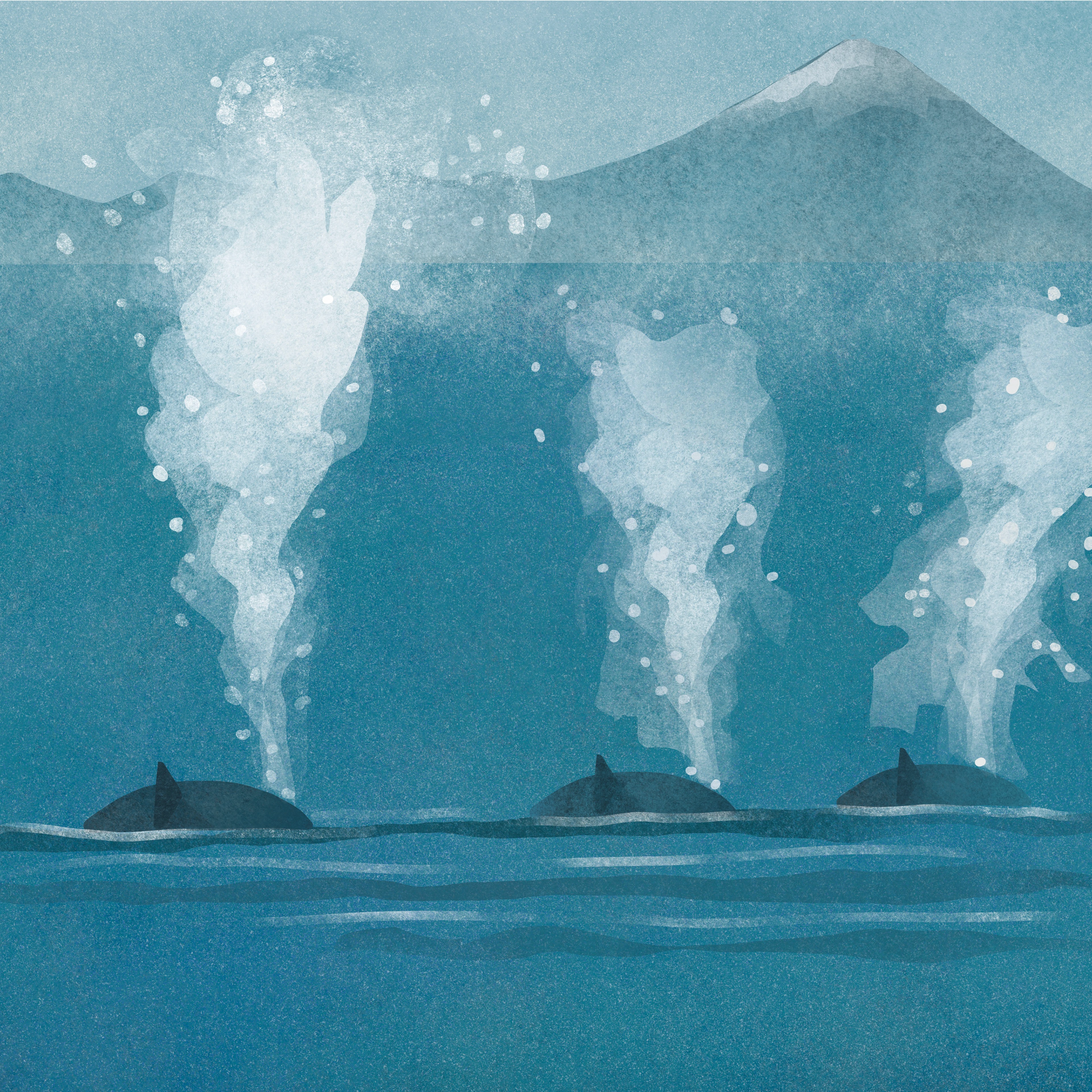 Дикая Камчатка — Изображение №13 — Брендинг, Иллюстрация на Dprofile