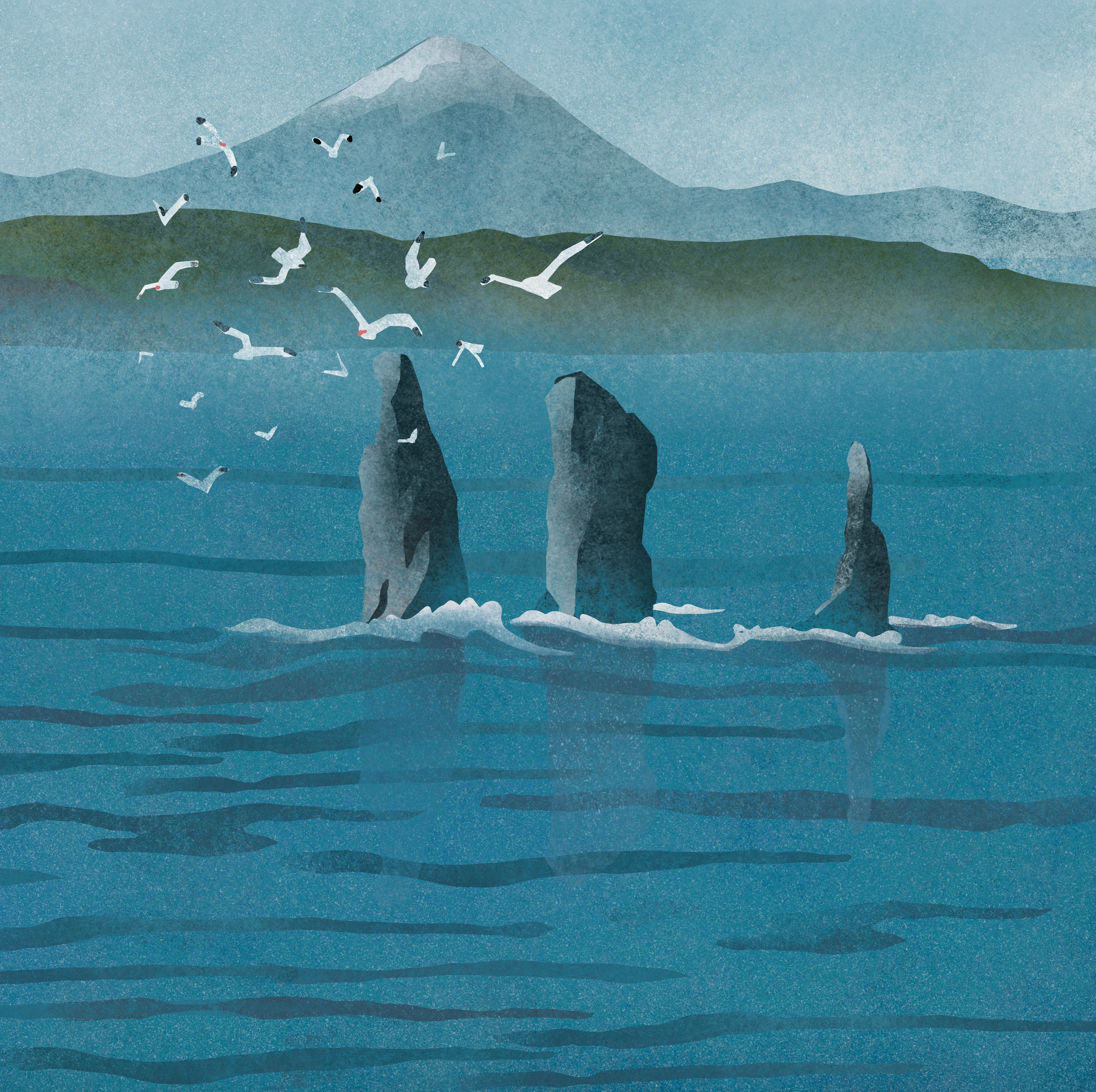 Дикая Камчатка — Изображение №9 — Брендинг, Иллюстрация на Dprofile