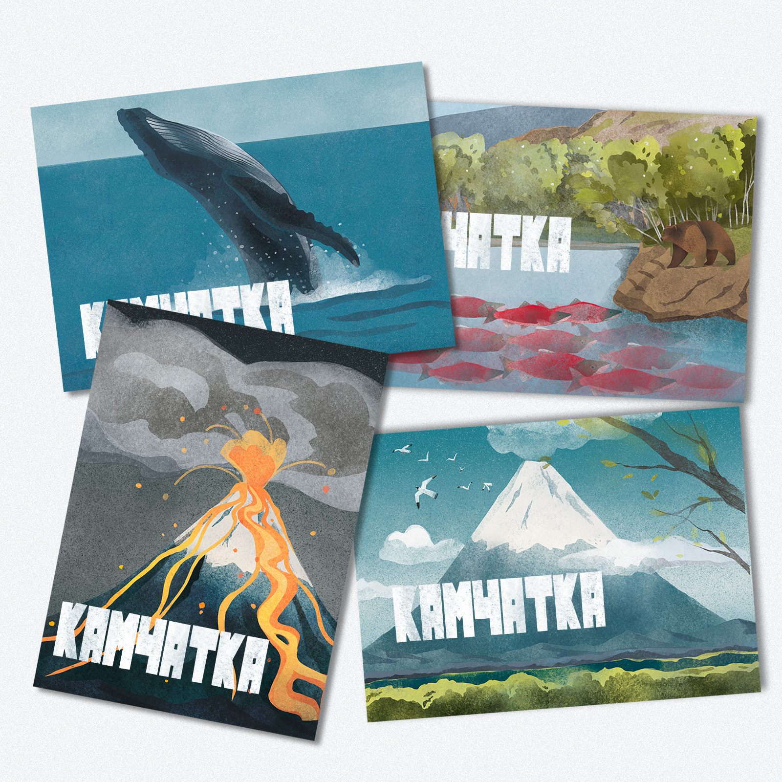 Дикая Камчатка — Изображение №15 — Брендинг, Иллюстрация на Dprofile