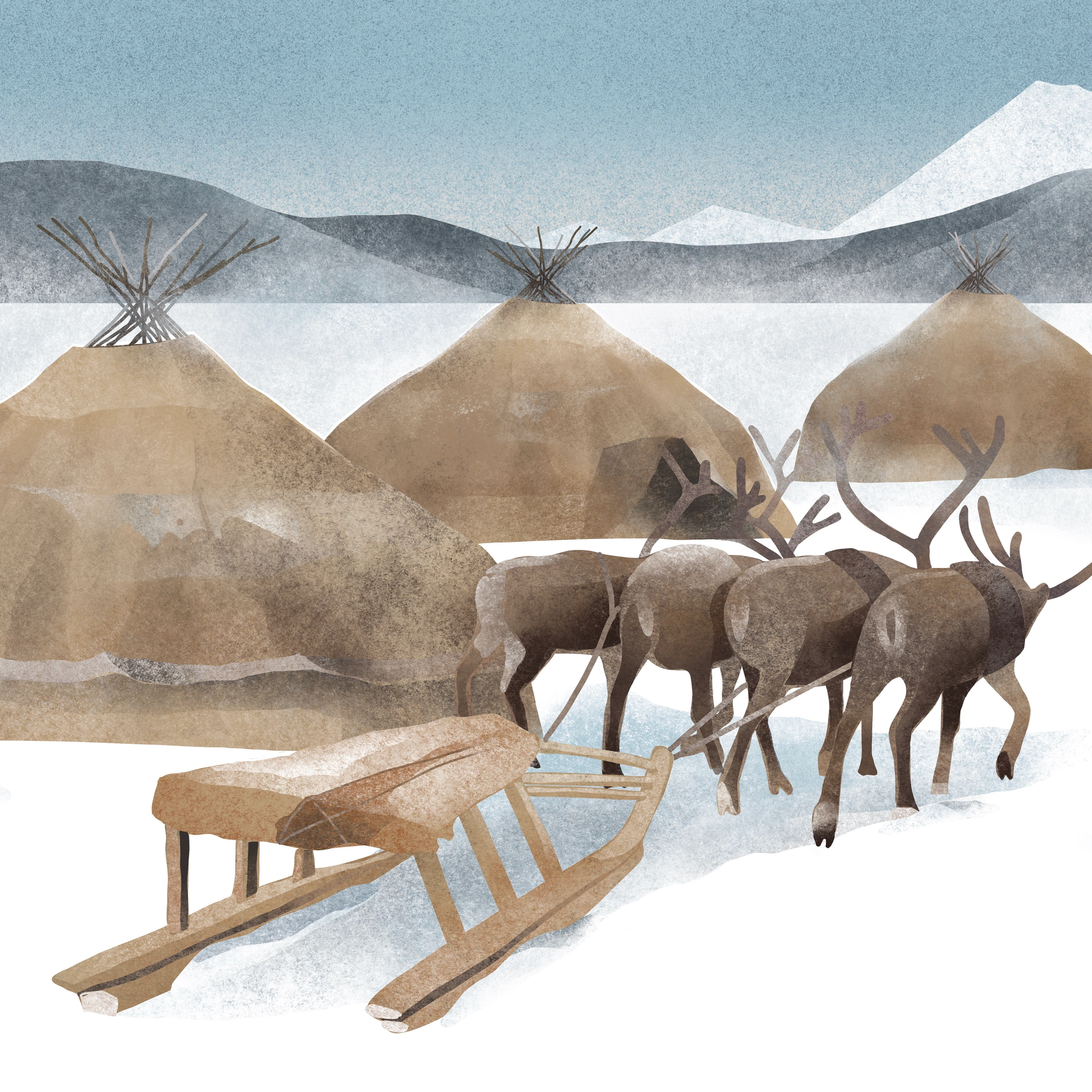 Дикая Камчатка — Изображение №4 — Брендинг, Иллюстрация на Dprofile