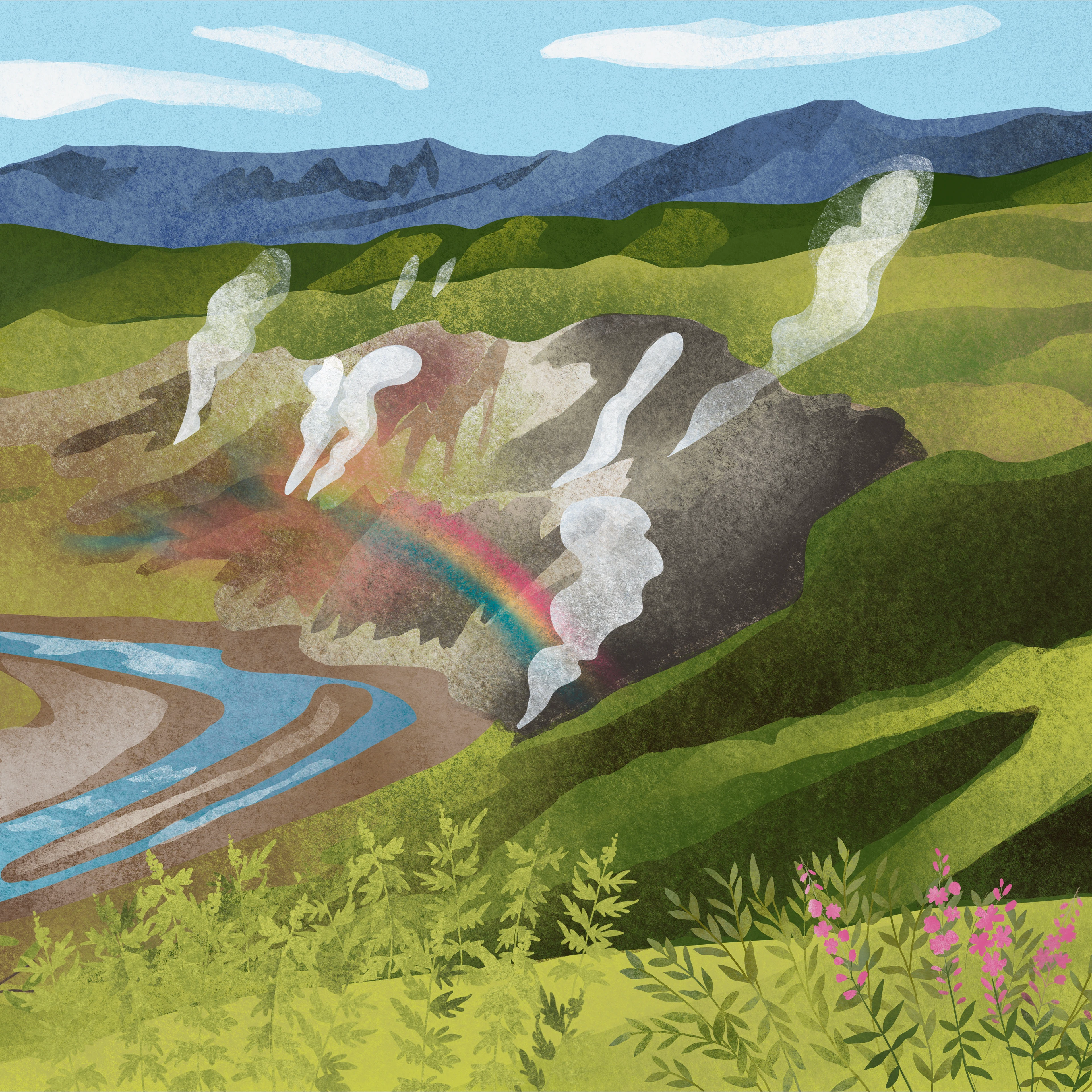 Дикая Камчатка — Изображение №7 — Брендинг, Иллюстрация на Dprofile