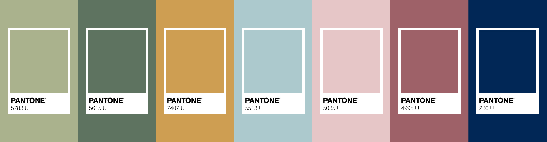 ALTA BOTANICA — Упаковка БАДов — Изображение №2 — Брендинг на Dprofile