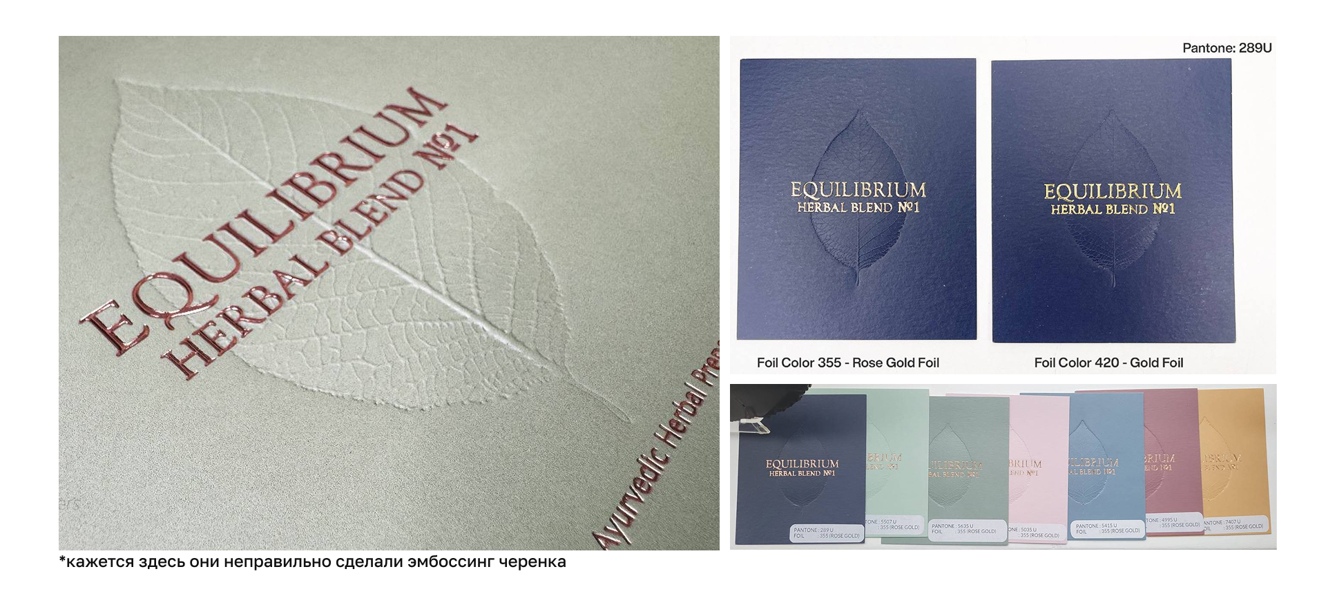 ALTA BOTANICA — Упаковка БАДов — Изображение №9 — Брендинг на Dprofile