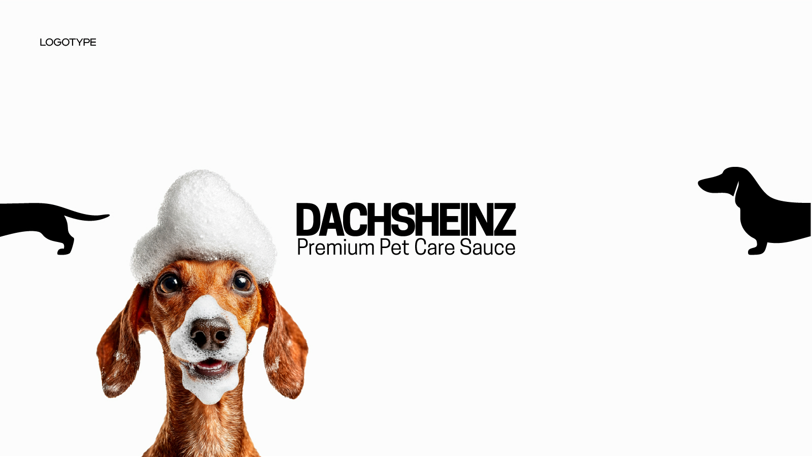 Концепция фирменного стиля DACHSHEINZ — Изображение №2 — Брендинг на Dprofile