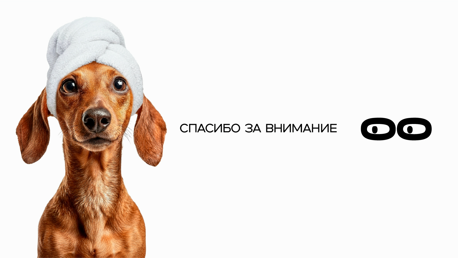 Концепция фирменного стиля DACHSHEINZ — Изображение №11 — Брендинг на Dprofile