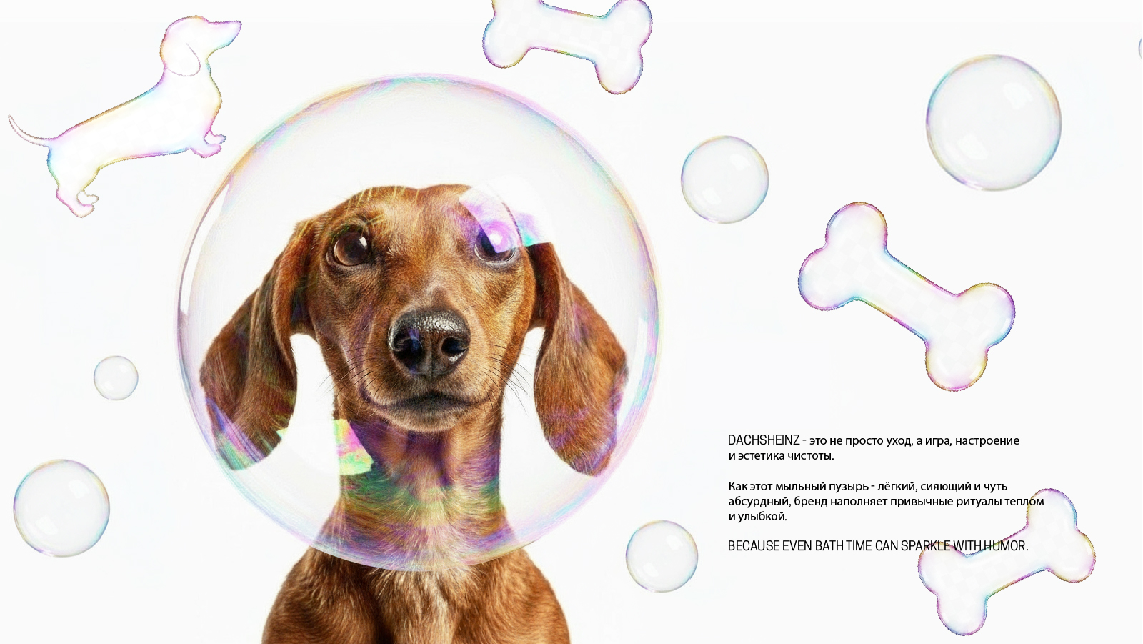 Концепция фирменного стиля DACHSHEINZ — Изображение №7 — Брендинг на Dprofile