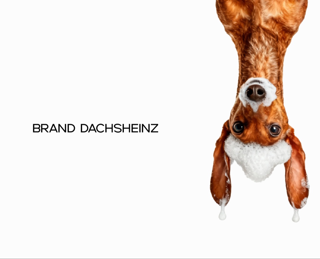 Концепция фирменного стиля DACHSHEINZ — Брендинг на Dprofile