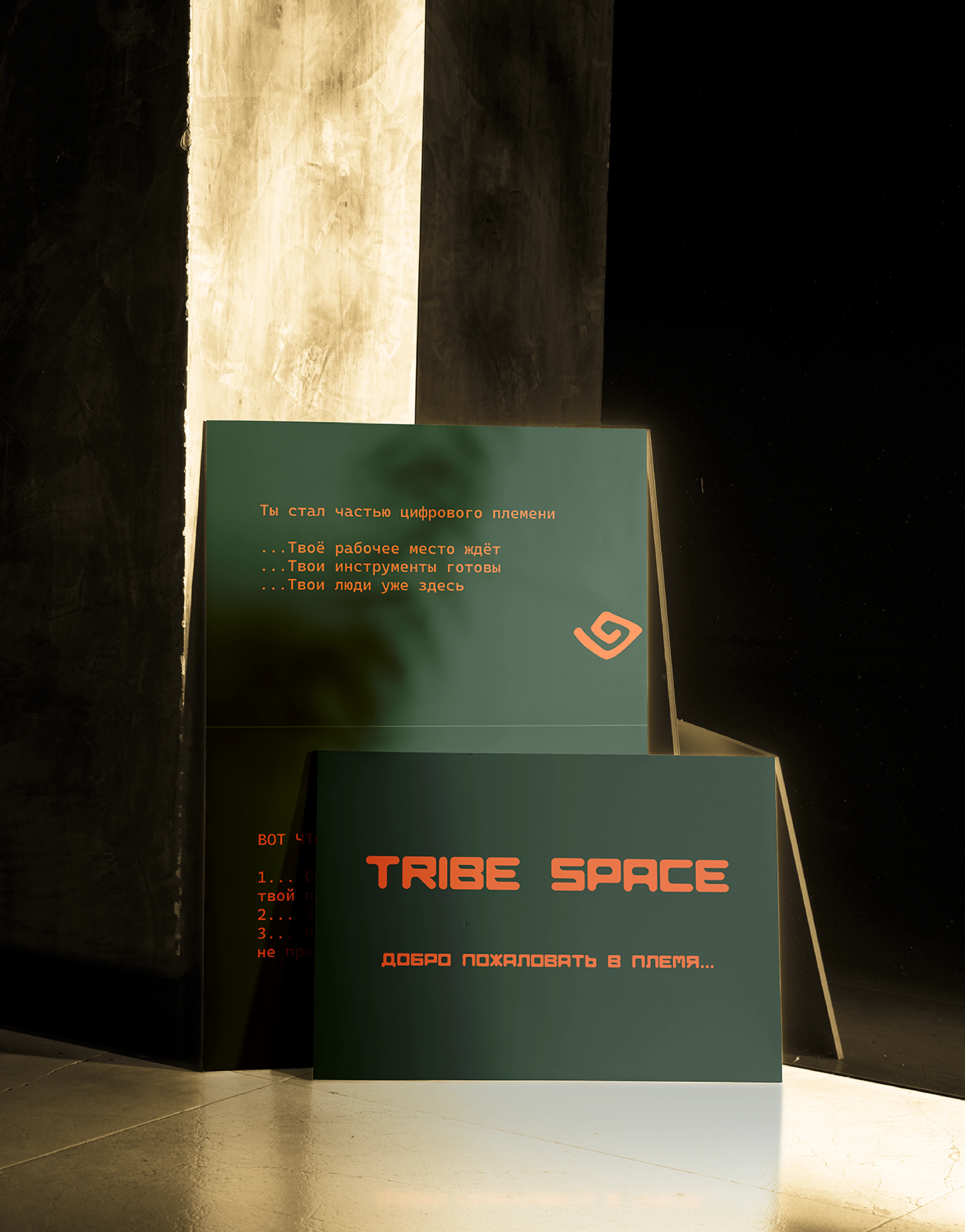TribeSpace — сеть коворкингов — Изображение №15 — Брендинг, Графика на Dprofile