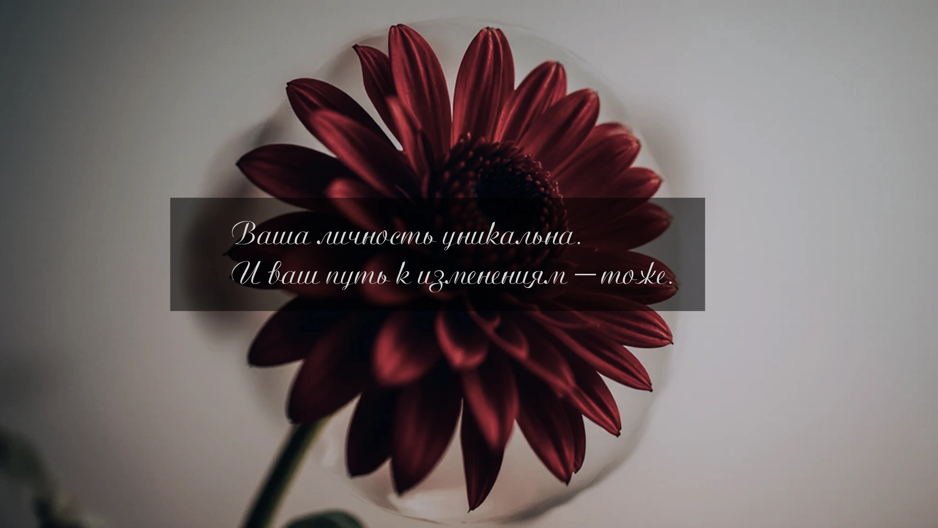 Фирменный стиль для психолога — Изображение №9 — Интерфейсы, Брендинг на Dprofile