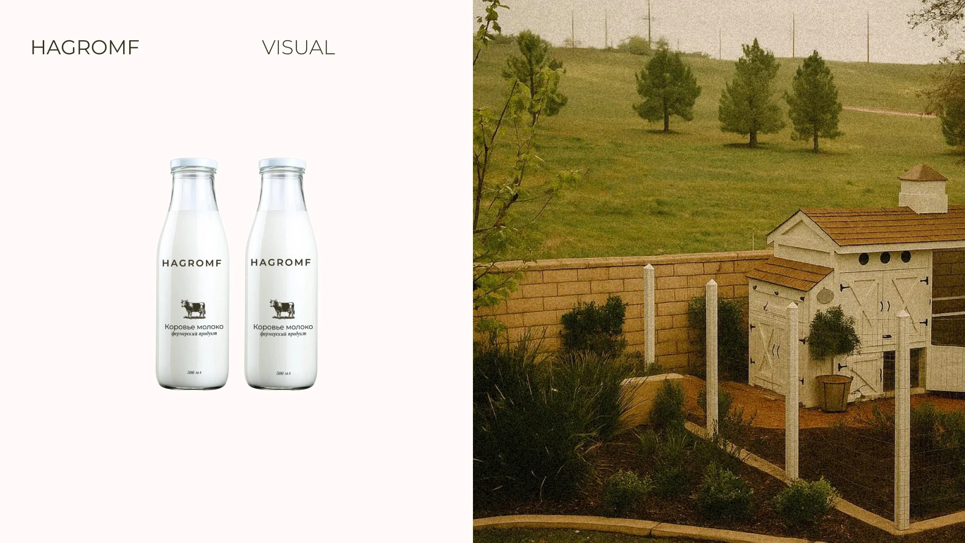 Brand Identity for Hagromf — Изображение №8 — Брендинг на Dprofile