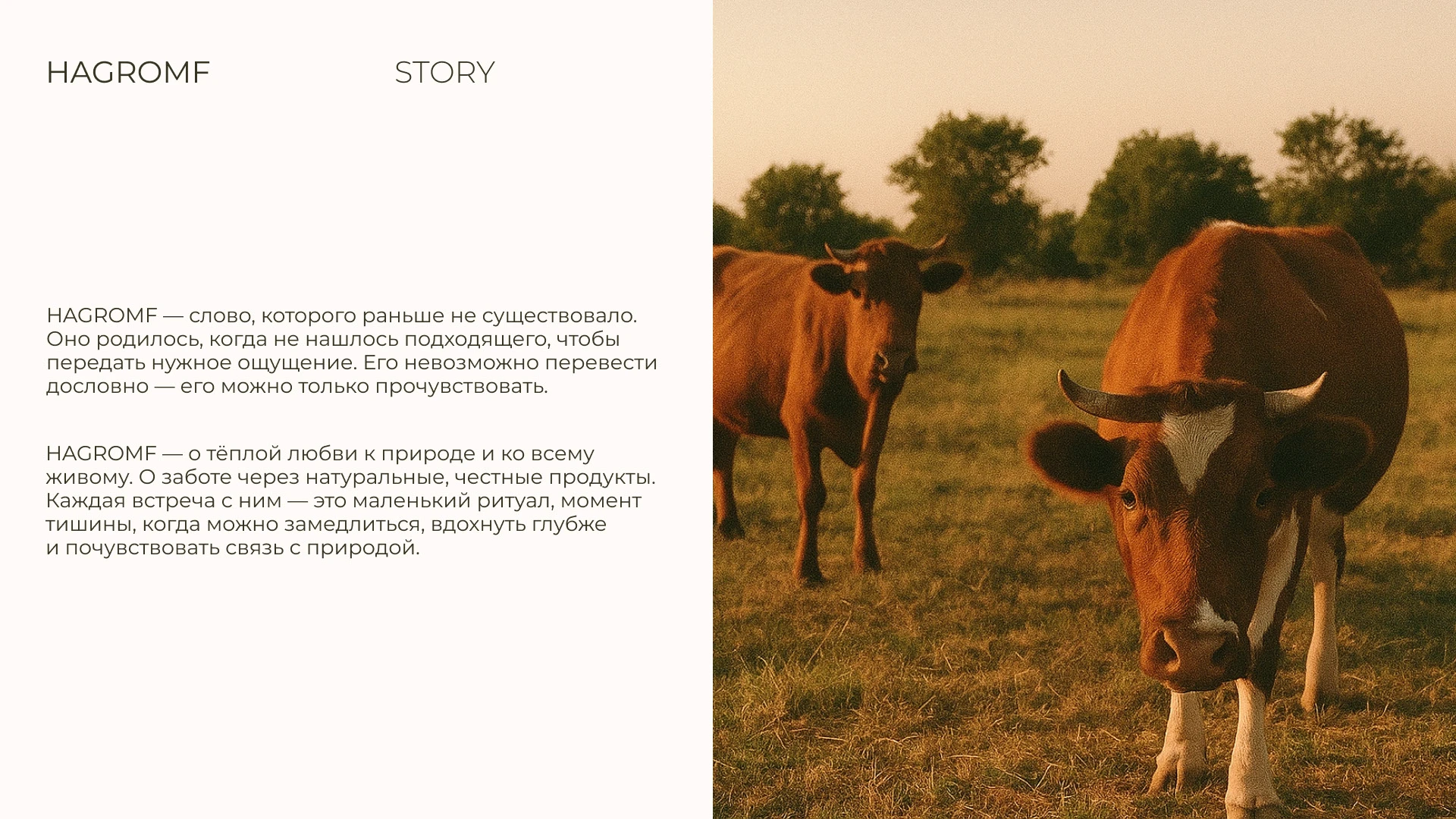 Brand Identity for Hagromf — Изображение №2 — Брендинг на Dprofile