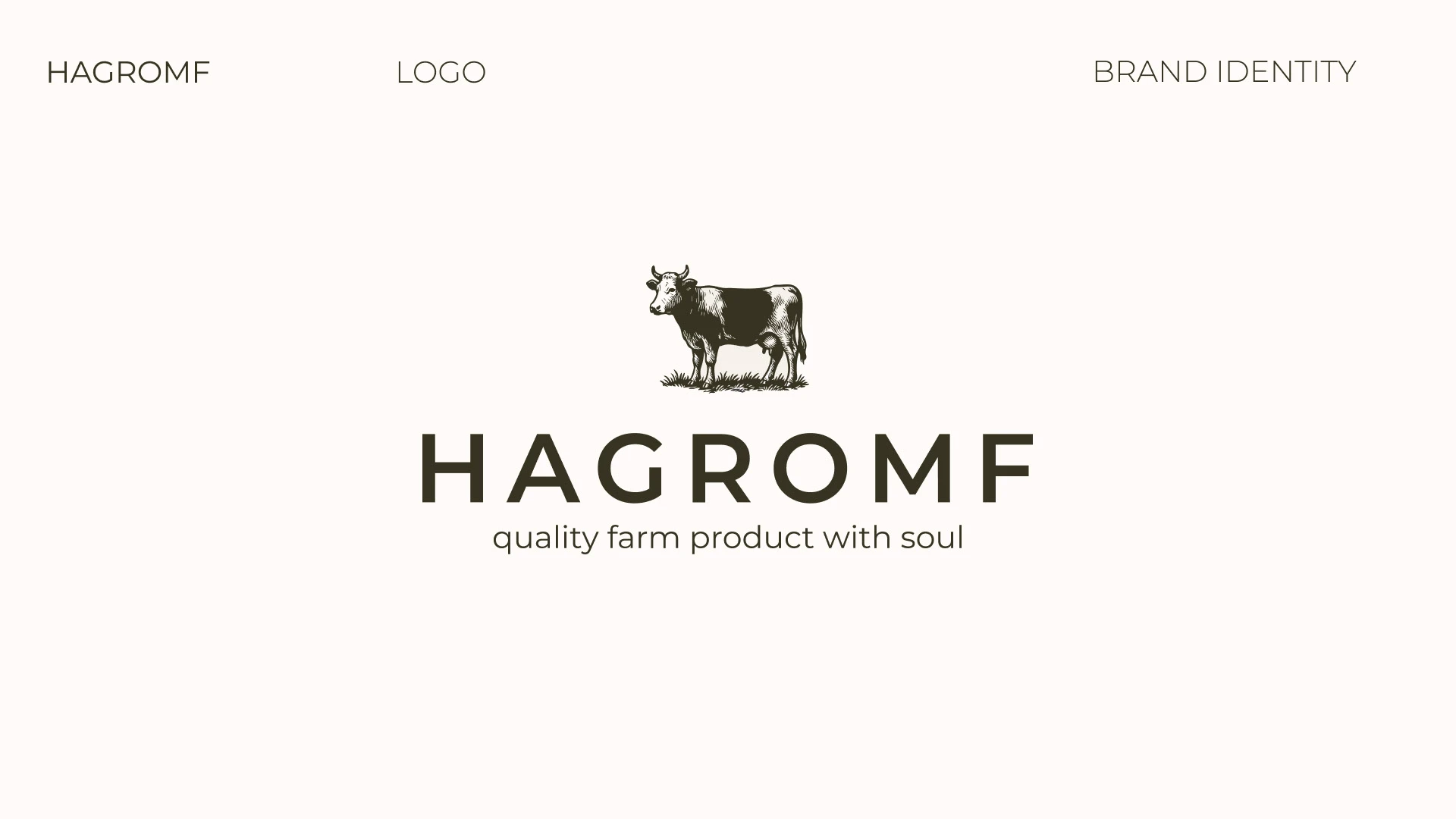 Brand Identity for Hagromf — Изображение №3 — Брендинг на Dprofile