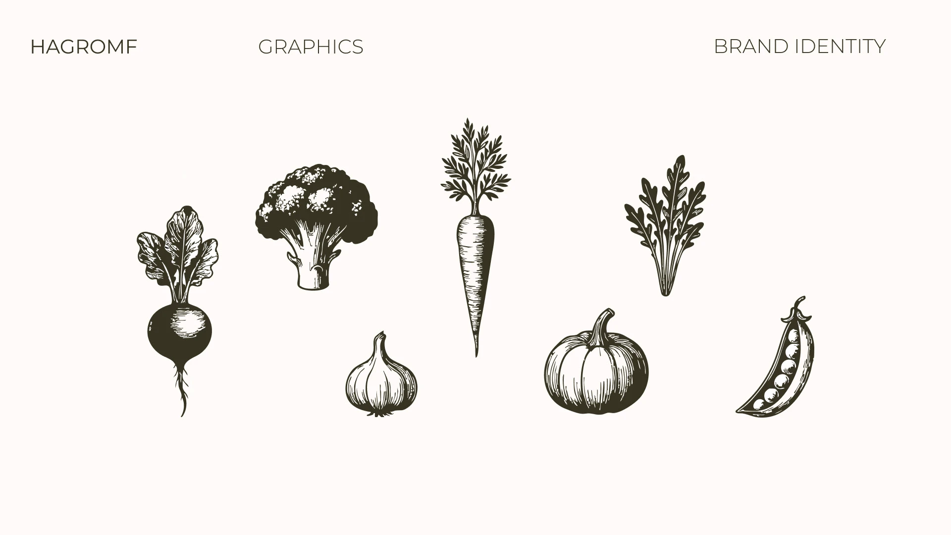Brand Identity for Hagromf — Изображение №5 — Брендинг на Dprofile
