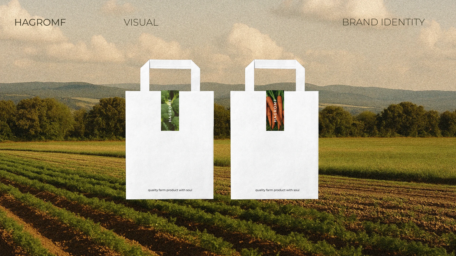 Brand Identity for Hagromf — Изображение №6 — Брендинг на Dprofile