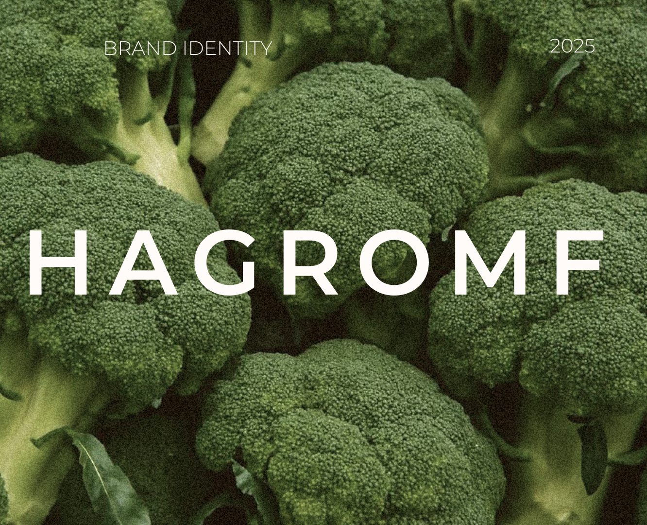 Brand Identity for Hagromf — Брендинг на Dprofile