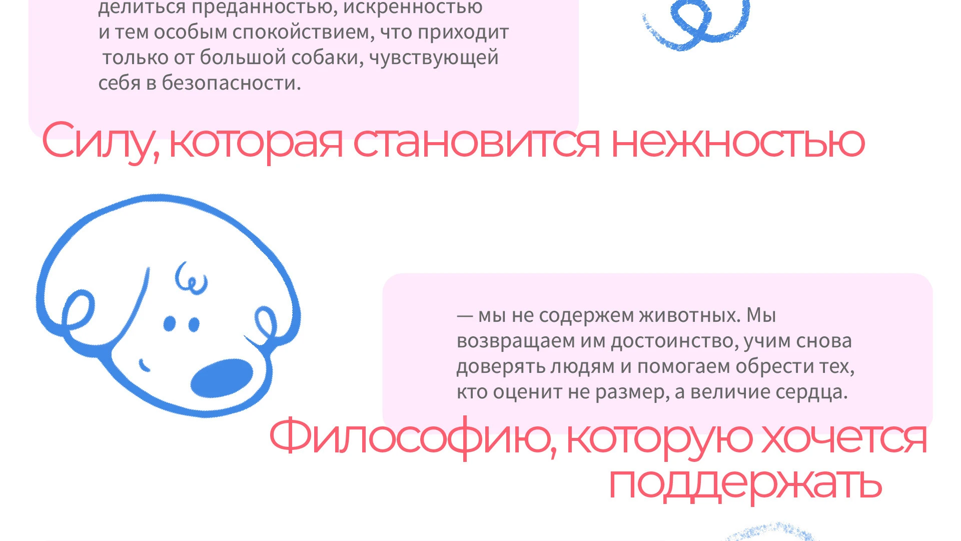 Парк-приют "Больше, чем собака" — Изображение №6 — Брендинг на Dprofile