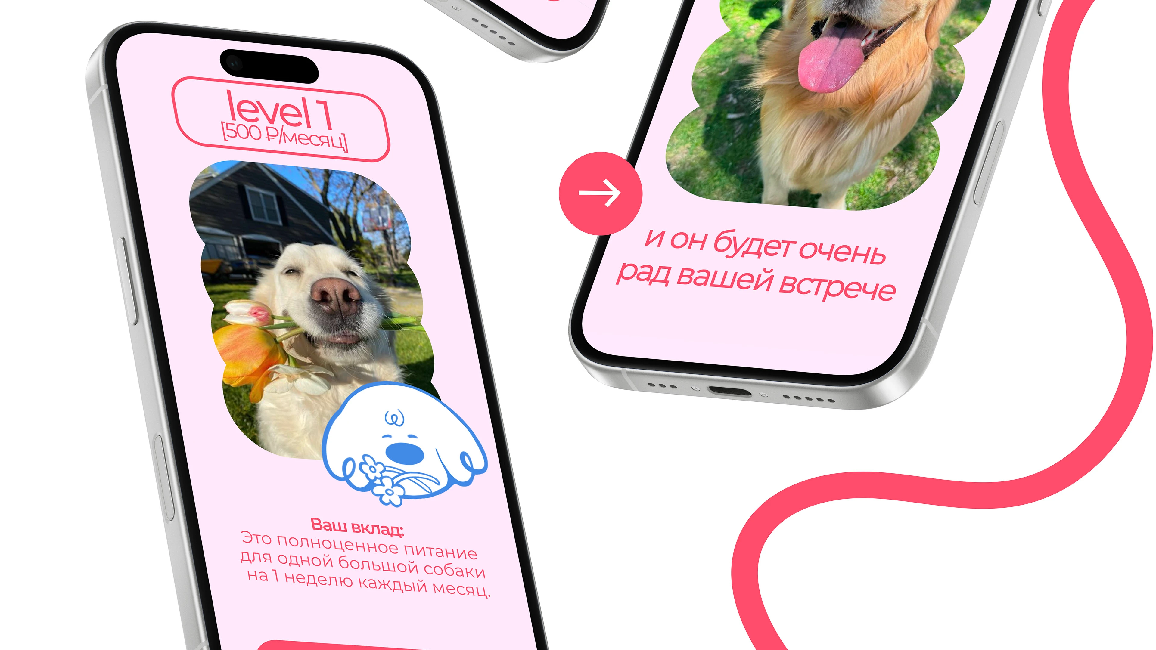 Парк-приют "Больше, чем собака" — Изображение №21 — Брендинг на Dprofile