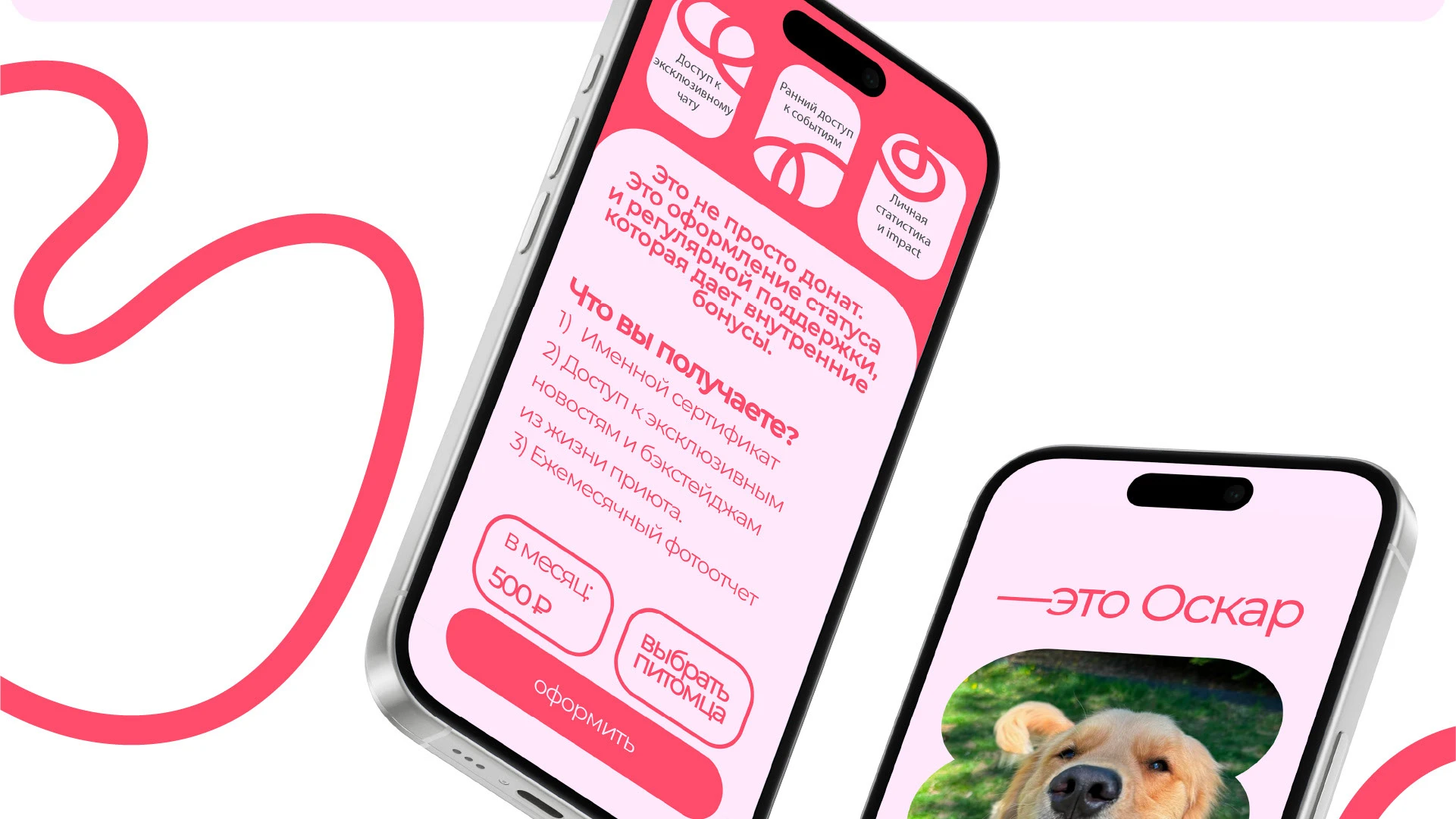 Парк-приют "Больше, чем собака" — Изображение №20 — Брендинг на Dprofile