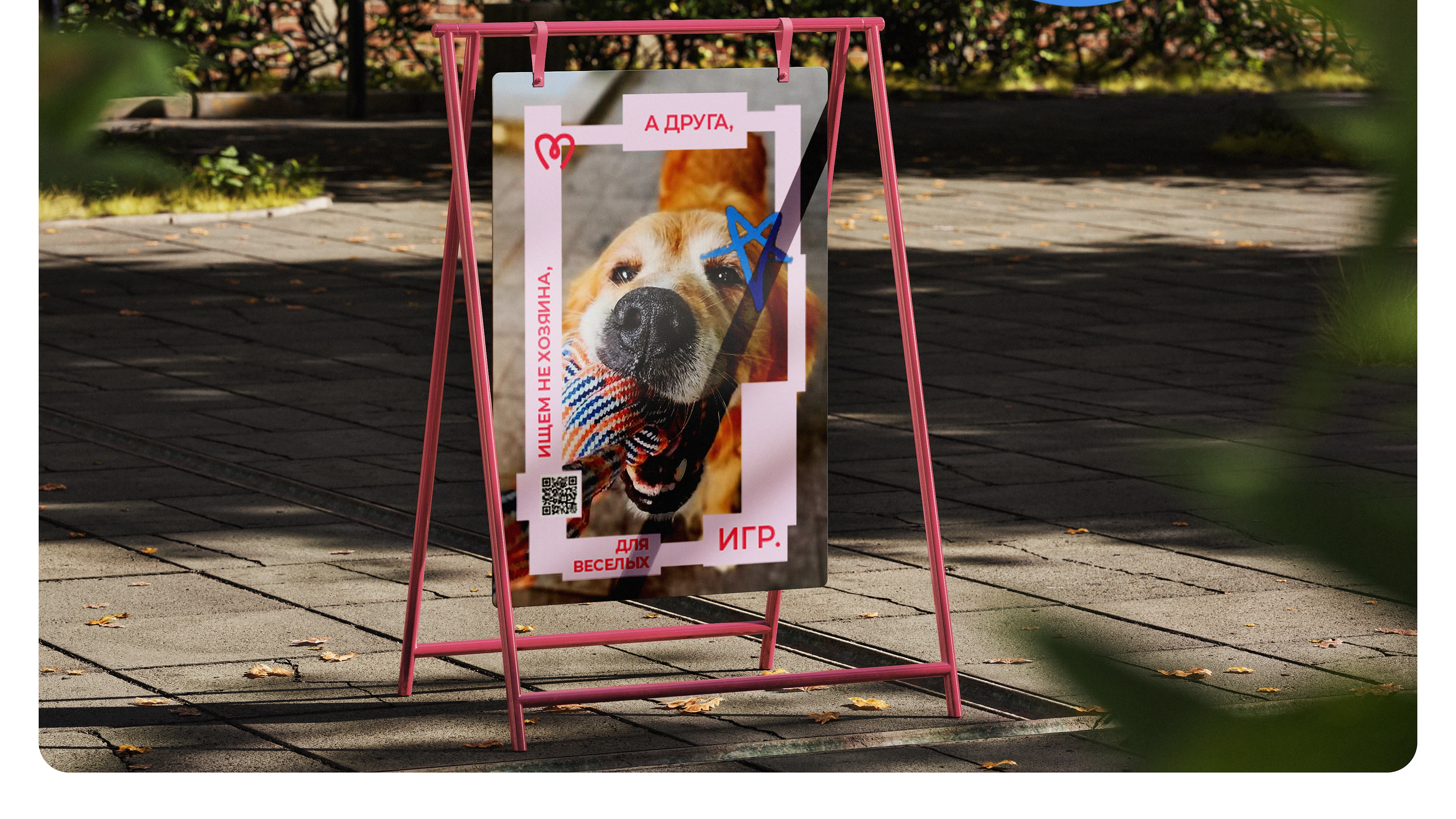 Парк-приют "Больше, чем собака" — Изображение №27 — Брендинг на Dprofile