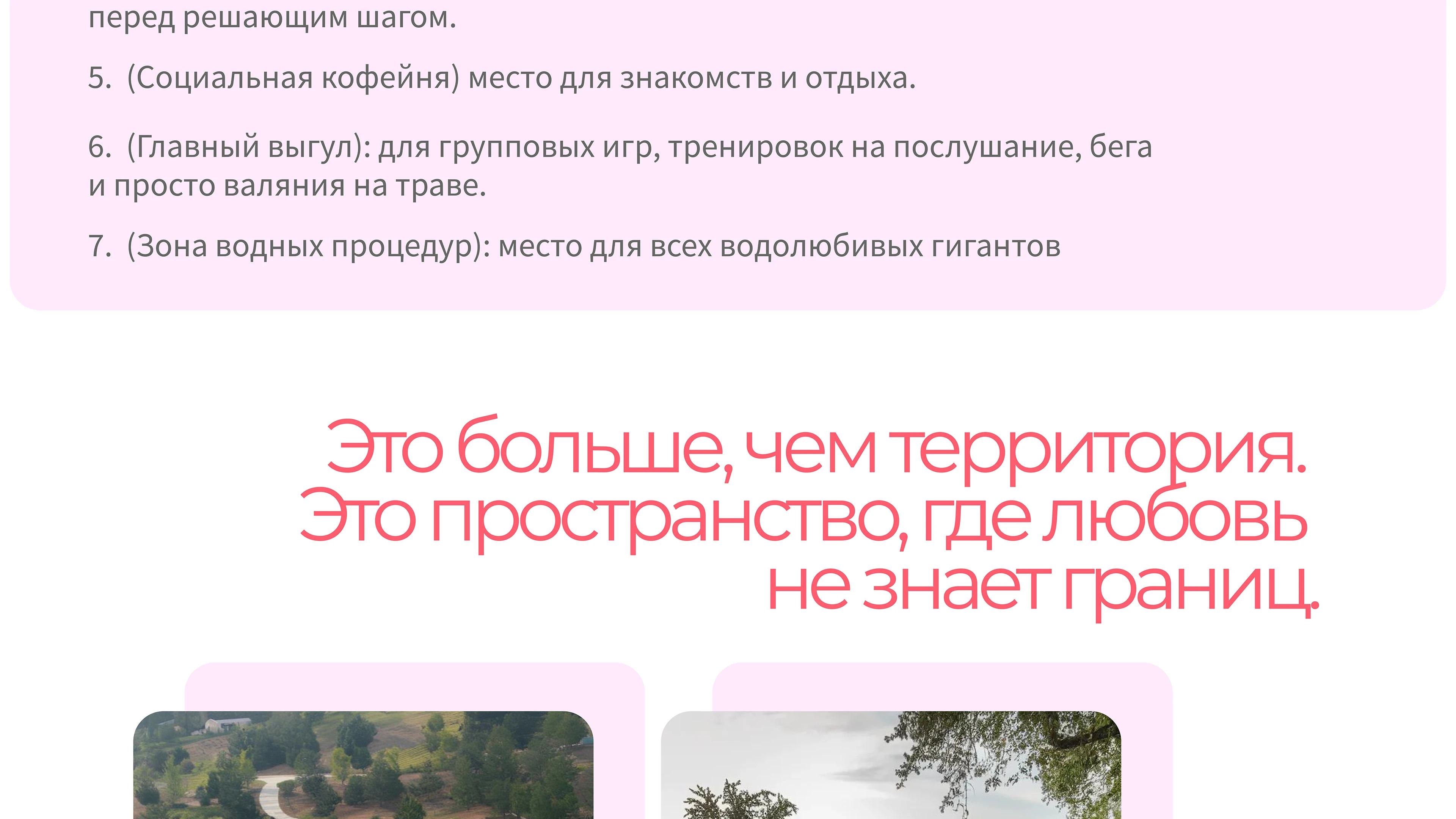 Парк-приют "Больше, чем собака" — Изображение №13 — Брендинг на Dprofile