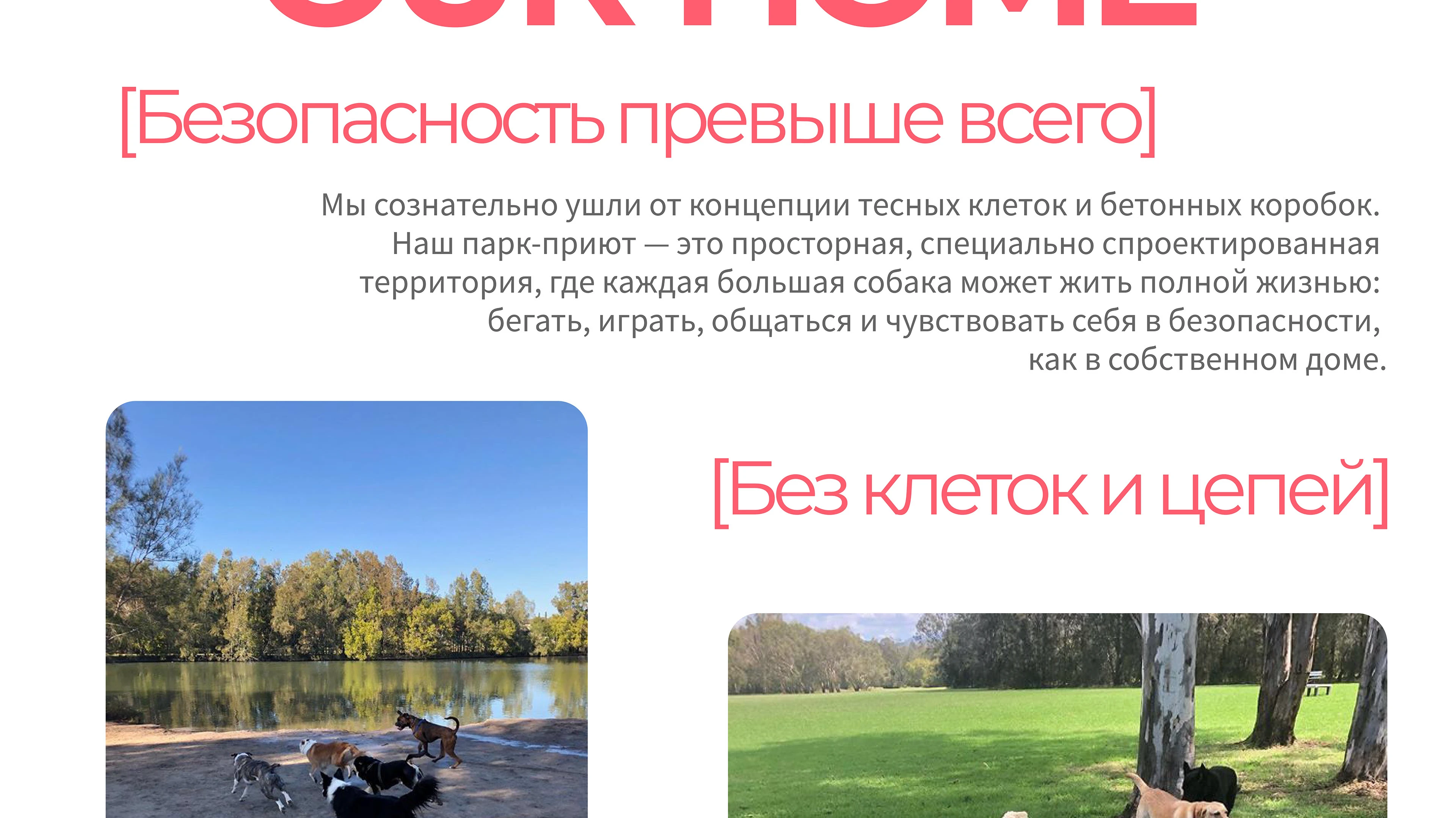 Парк-приют "Больше, чем собака" — Изображение №9 — Брендинг на Dprofile