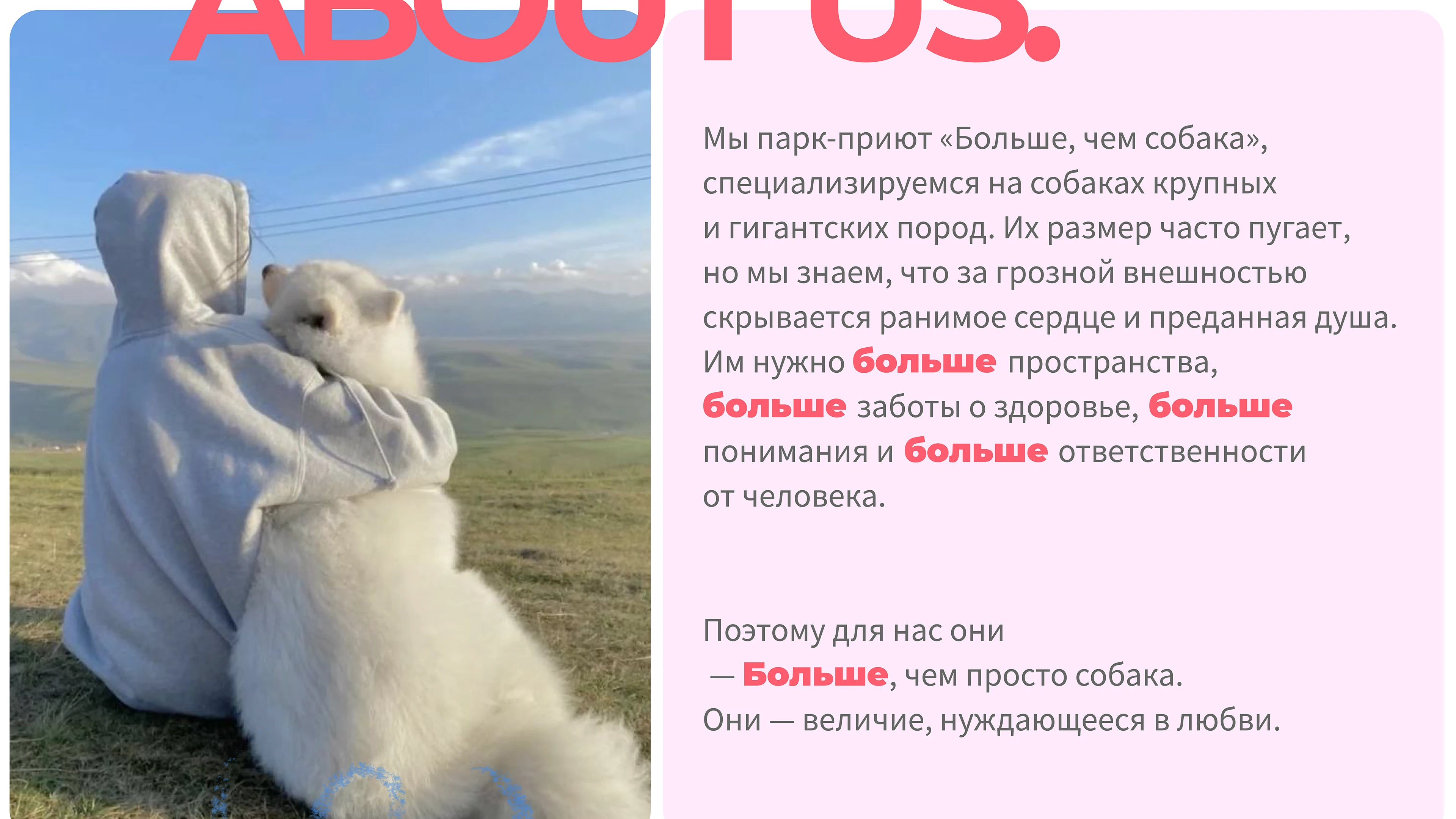 Парк-приют "Больше, чем собака" — Изображение №3 — Брендинг на Dprofile