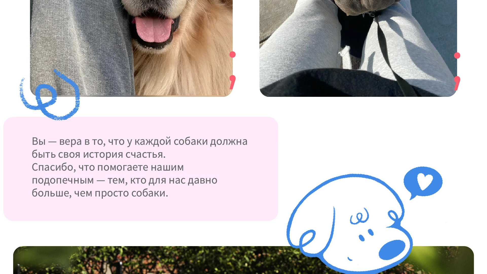 Парк-приют "Больше, чем собака" — Изображение №26 — Брендинг на Dprofile