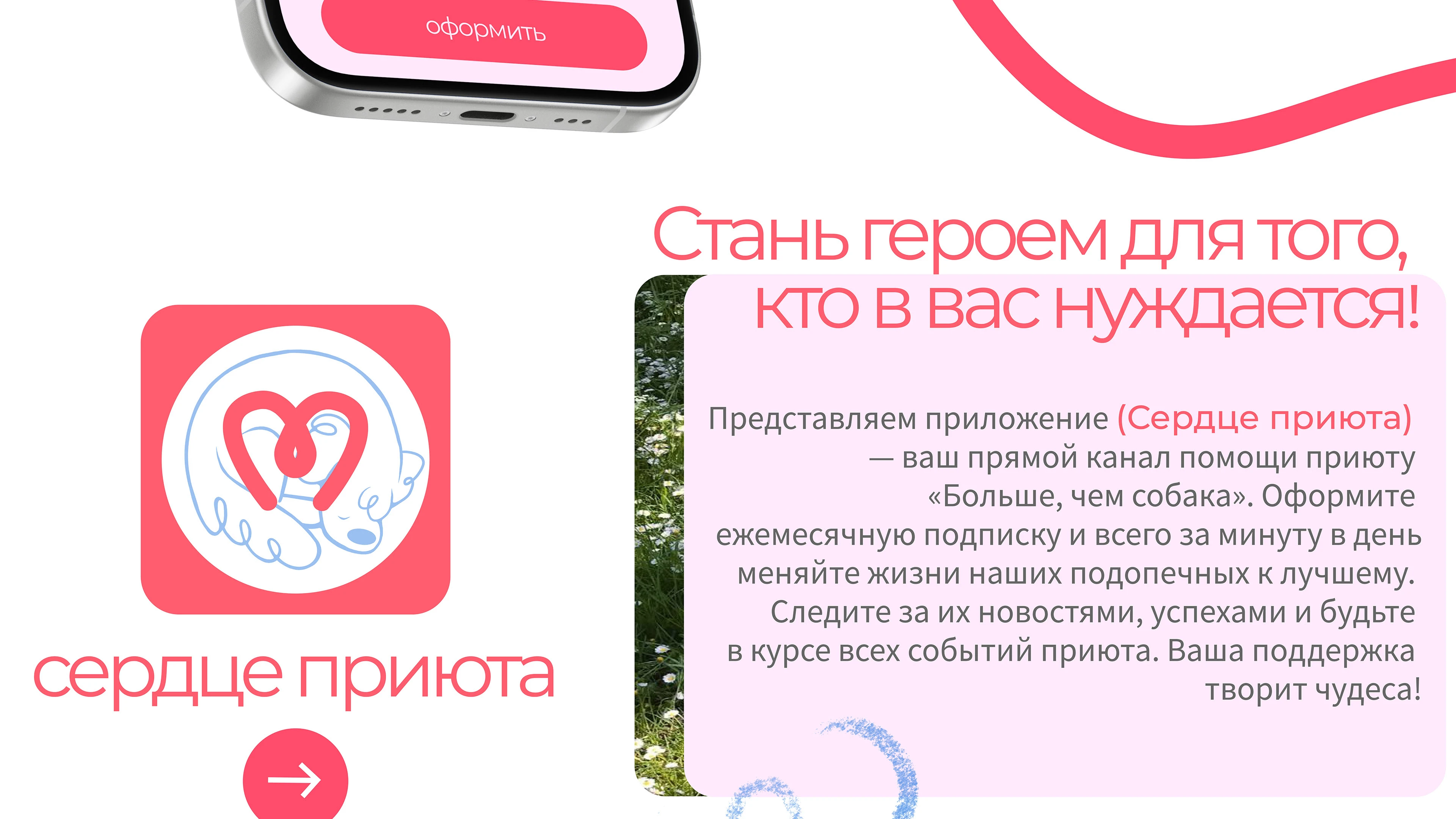 Парк-приют "Больше, чем собака" — Изображение №22 — Брендинг на Dprofile