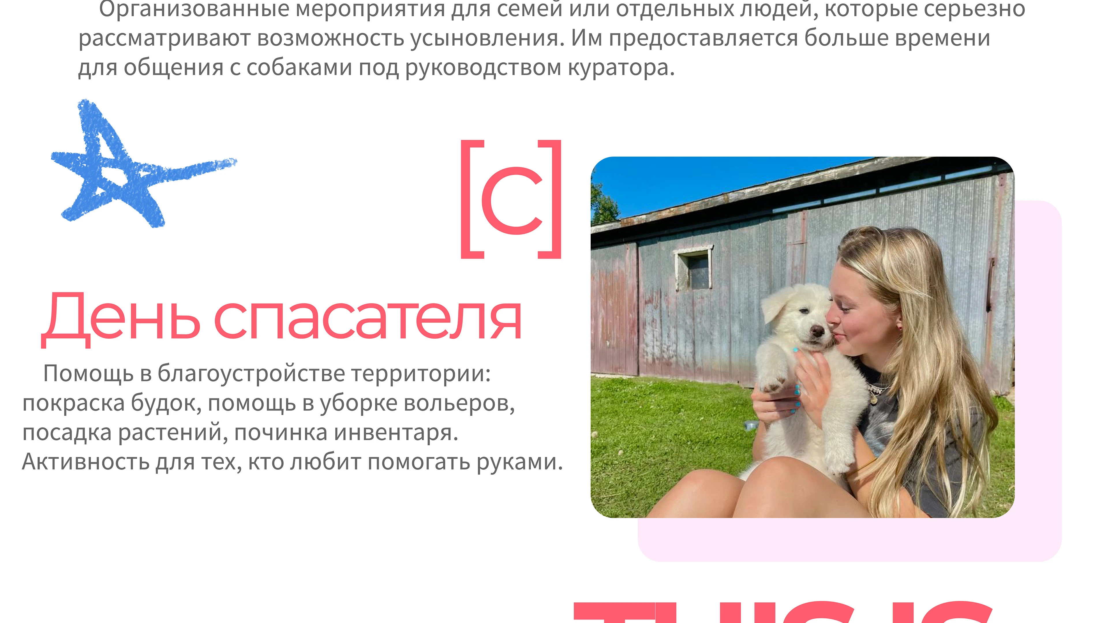 Парк-приют "Больше, чем собака" — Изображение №18 — Брендинг на Dprofile