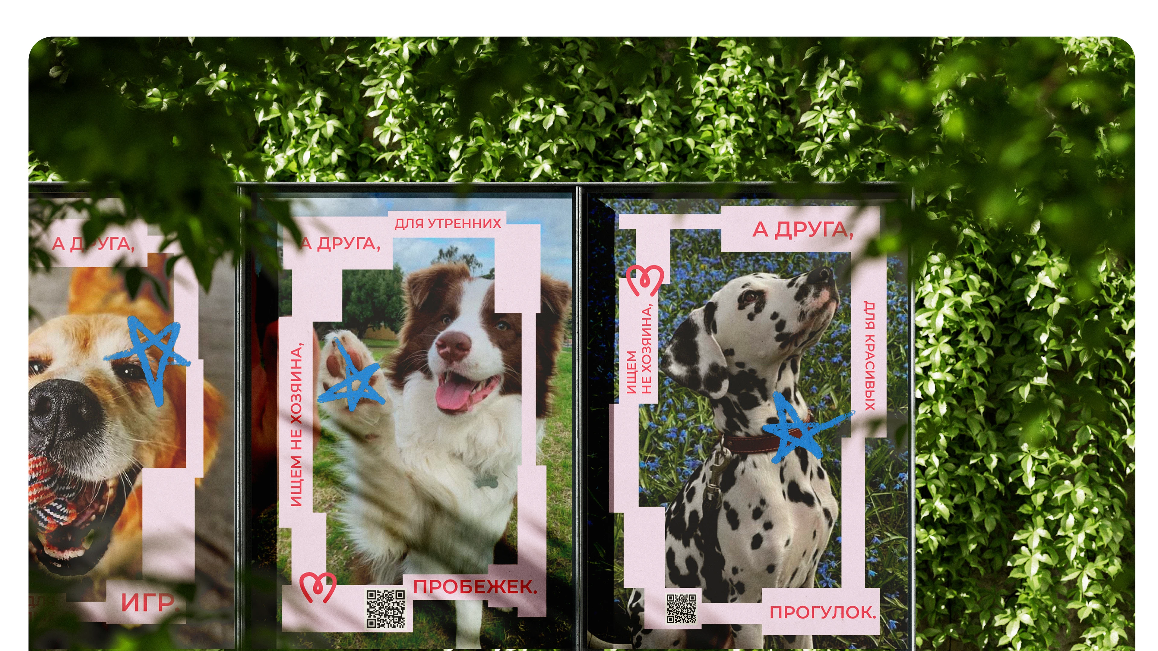 Парк-приют "Больше, чем собака" — Изображение №28 — Брендинг на Dprofile