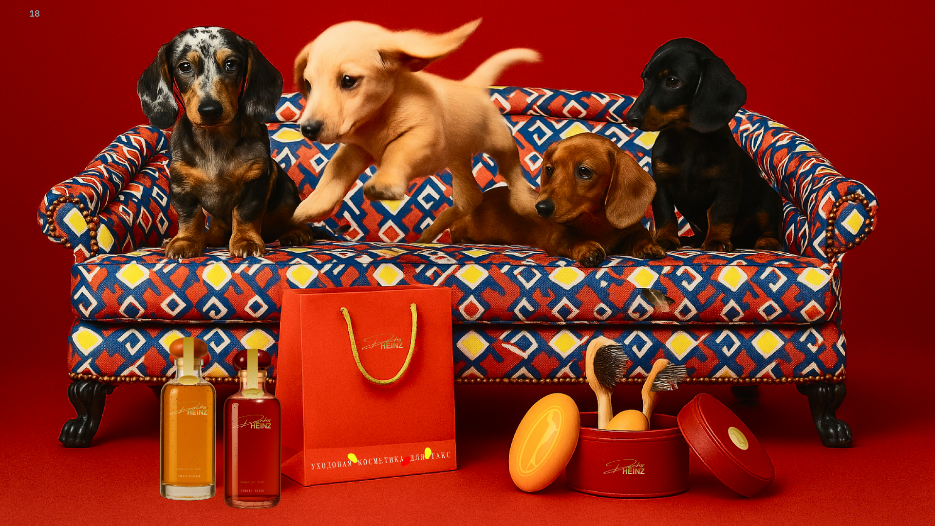 “ DACHSHEINZ “- бренд косметики для такс — Изображение №18 — Брендинг на Dprofile