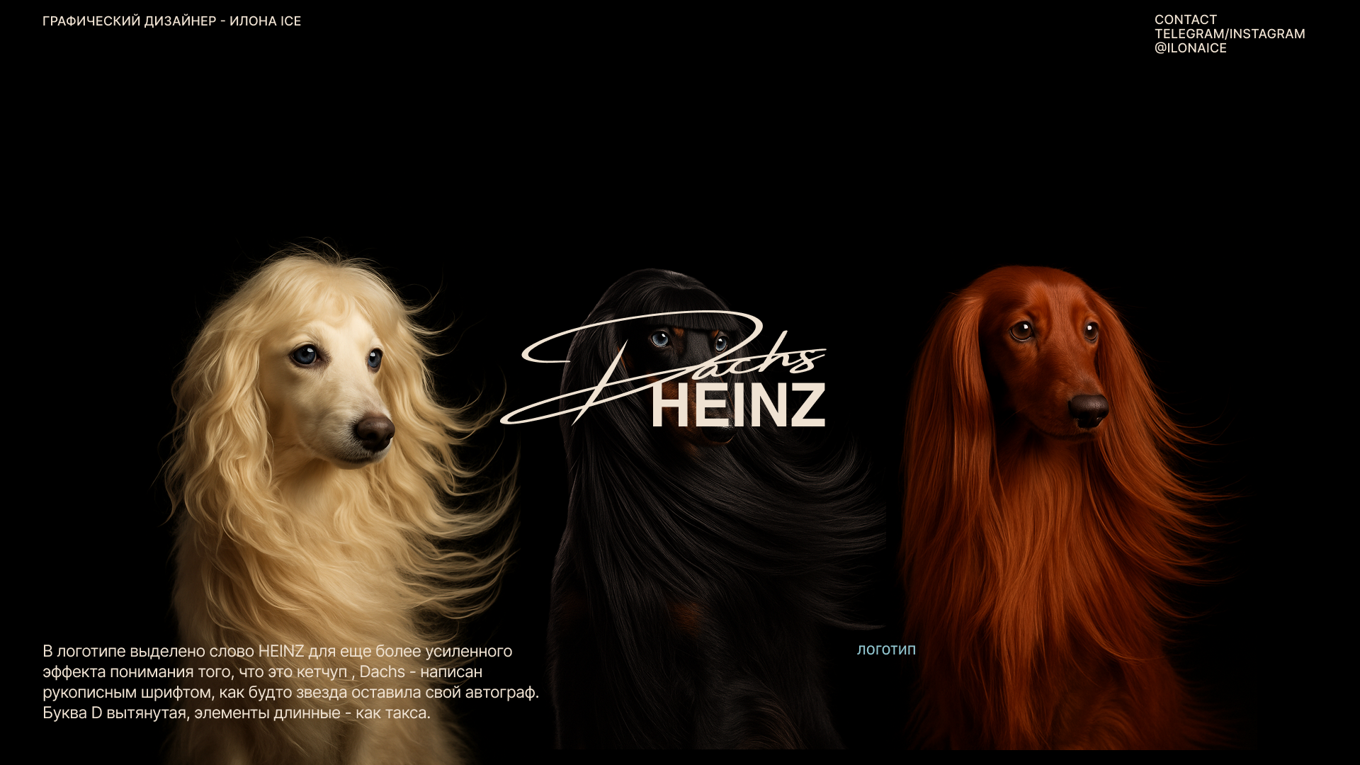 “ DACHSHEINZ “- бренд косметики для такс — Изображение №1 — Брендинг на Dprofile