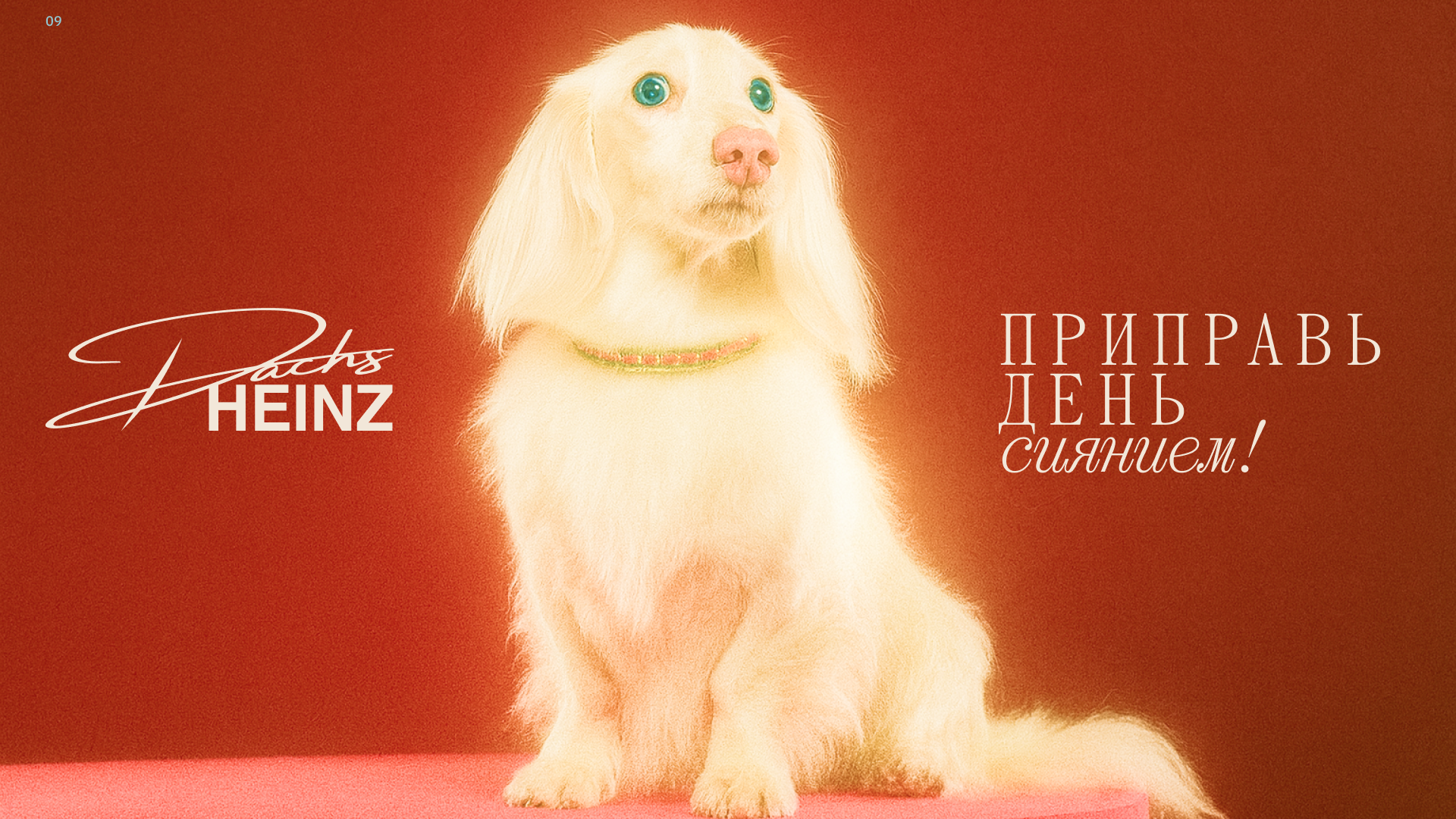 “ DACHSHEINZ “- бренд косметики для такс — Изображение №10 — Брендинг на Dprofile