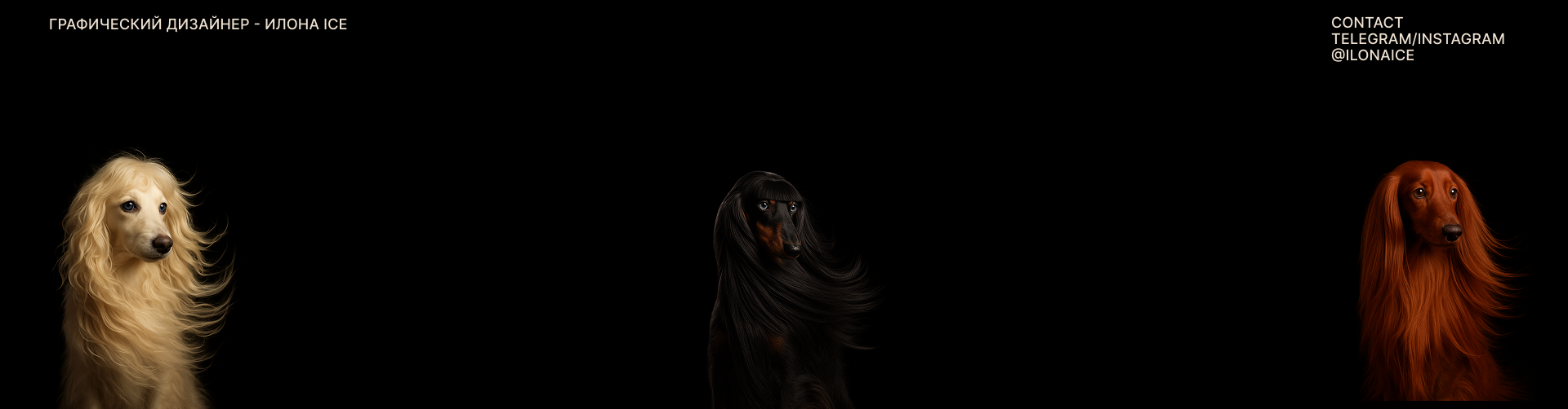 “ DACHSHEINZ “- бренд косметики для такс — Изображение №19 — Брендинг на Dprofile