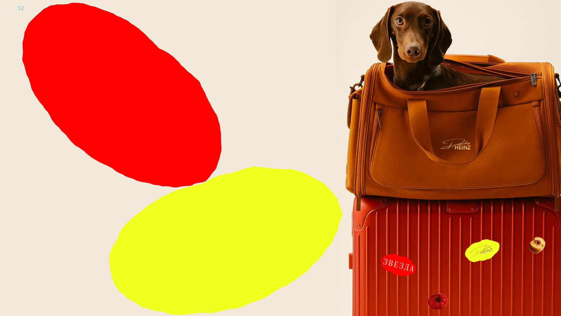 “ DACHSHEINZ “- бренд косметики для такс — Изображение №12 — Брендинг на Dprofile