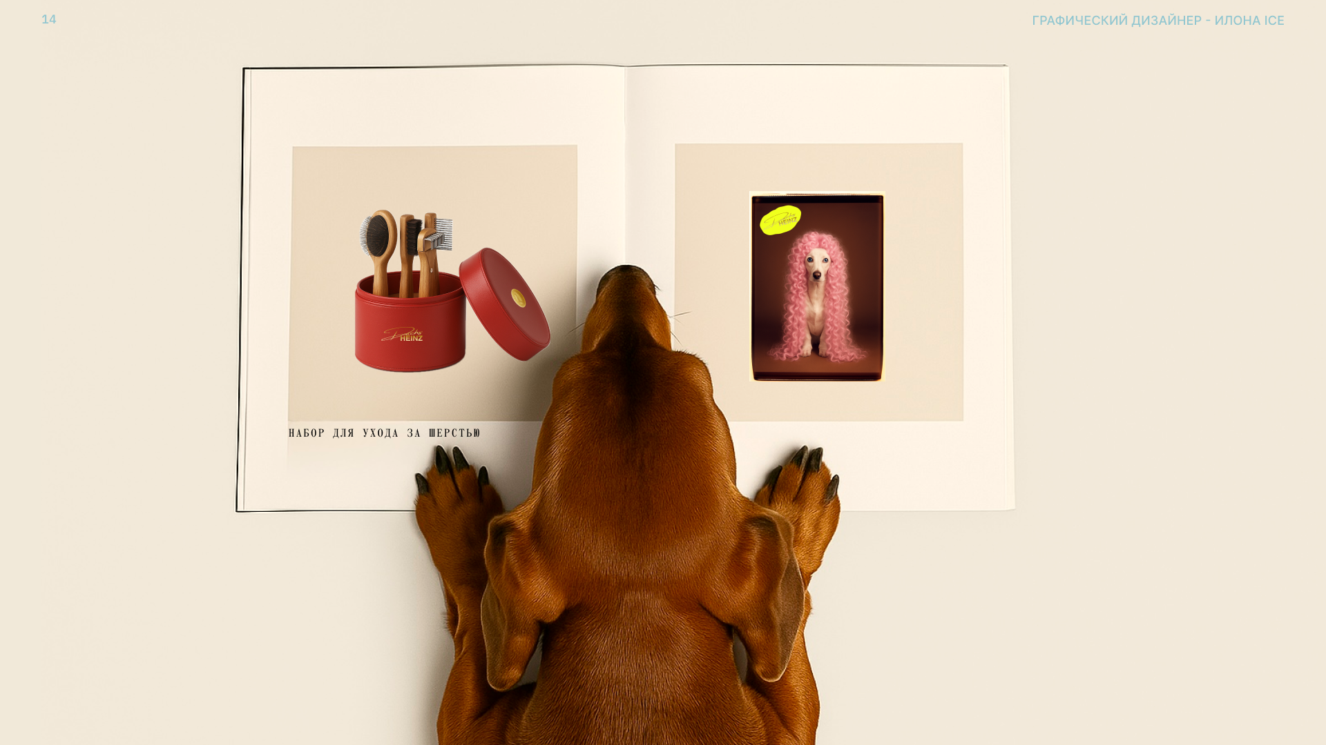 “ DACHSHEINZ “- бренд косметики для такс — Изображение №14 — Брендинг на Dprofile