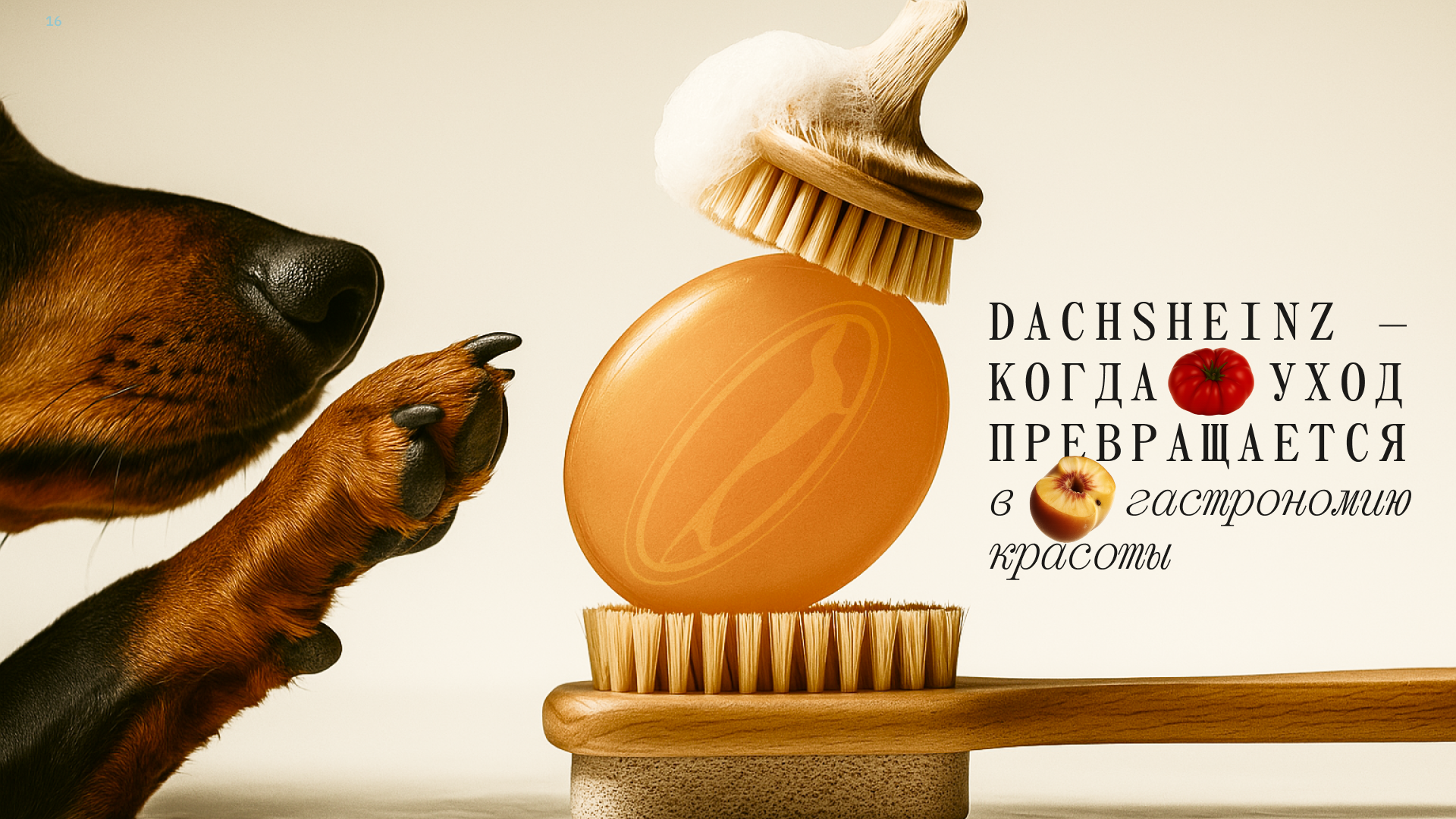 “ DACHSHEINZ “- бренд косметики для такс — Изображение №16 — Брендинг на Dprofile