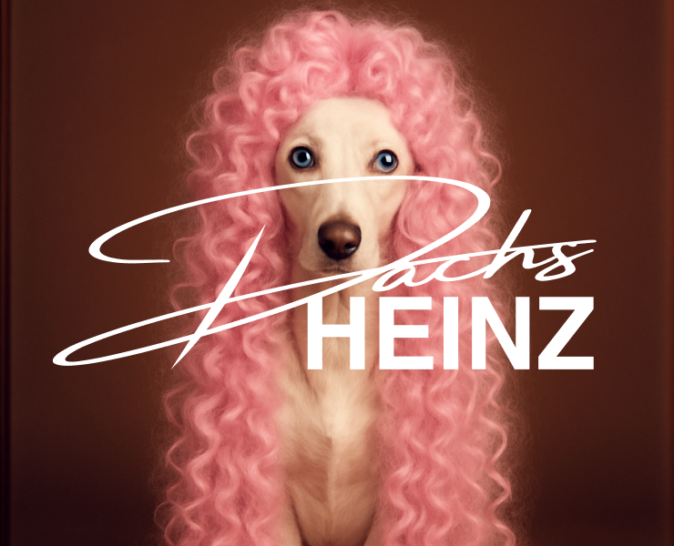 “ DACHSHEINZ “- бренд косметики для такс — Брендинг на Dprofile