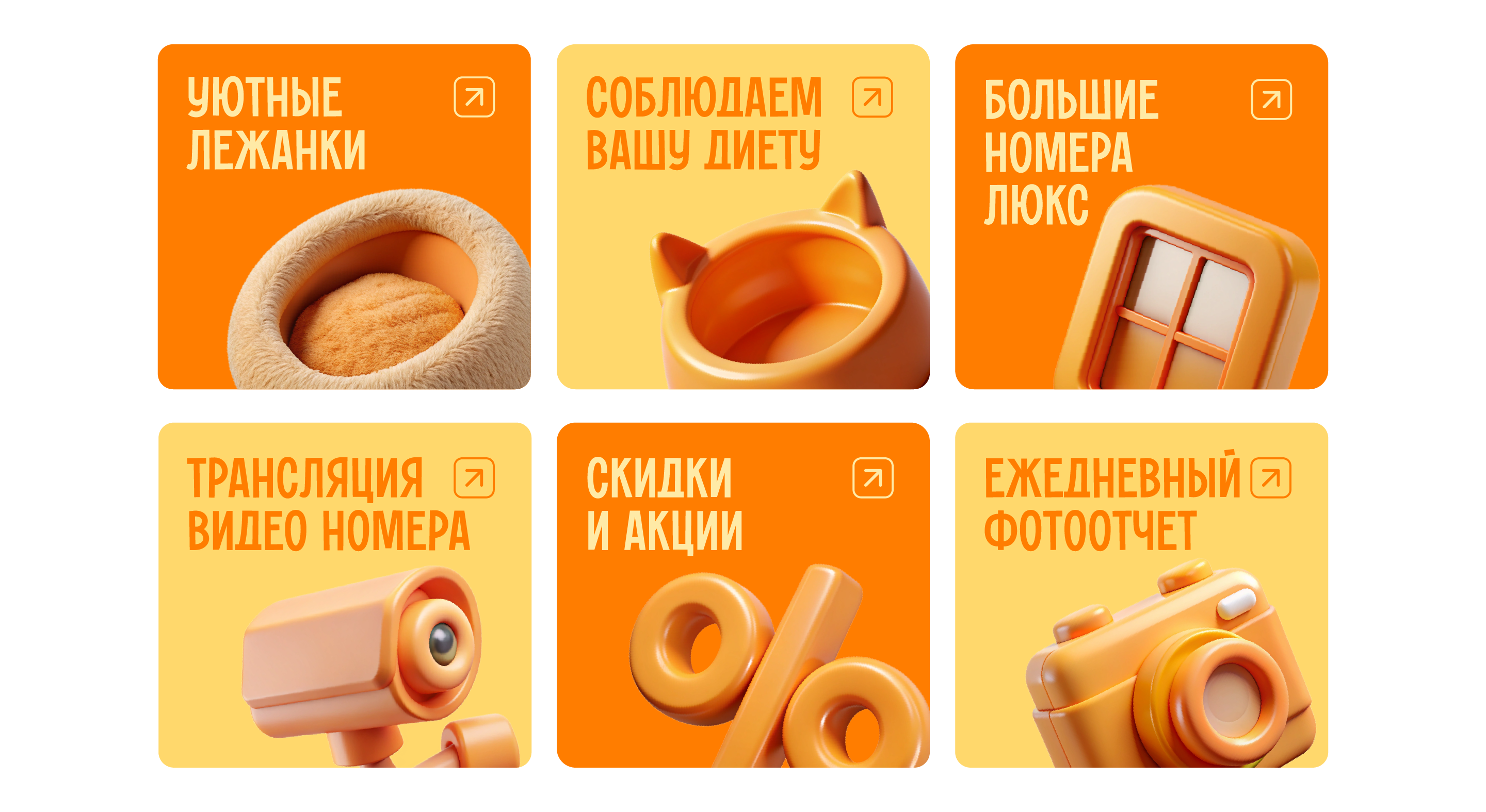 Мурлыка — брендинг кошачье гостиницы — Изображение №8 — Брендинг на Dprofile