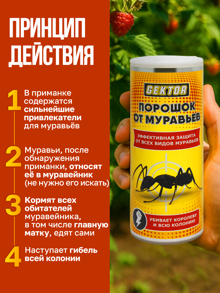 Профессиональный магазин для дезинфекции и дезинсекции — Изображение №7 — Графика, Маркетинг на Dprofile