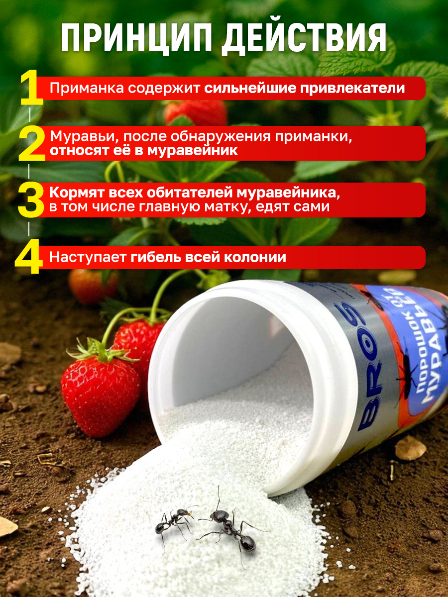 Профессиональный магазин для дезинфекции и дезинсекции — Изображение №18 — Графика, Маркетинг на Dprofile