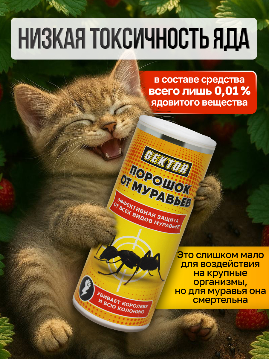 Профессиональный магазин для дезинфекции и дезинсекции — Изображение №8 — Графика, Маркетинг на Dprofile